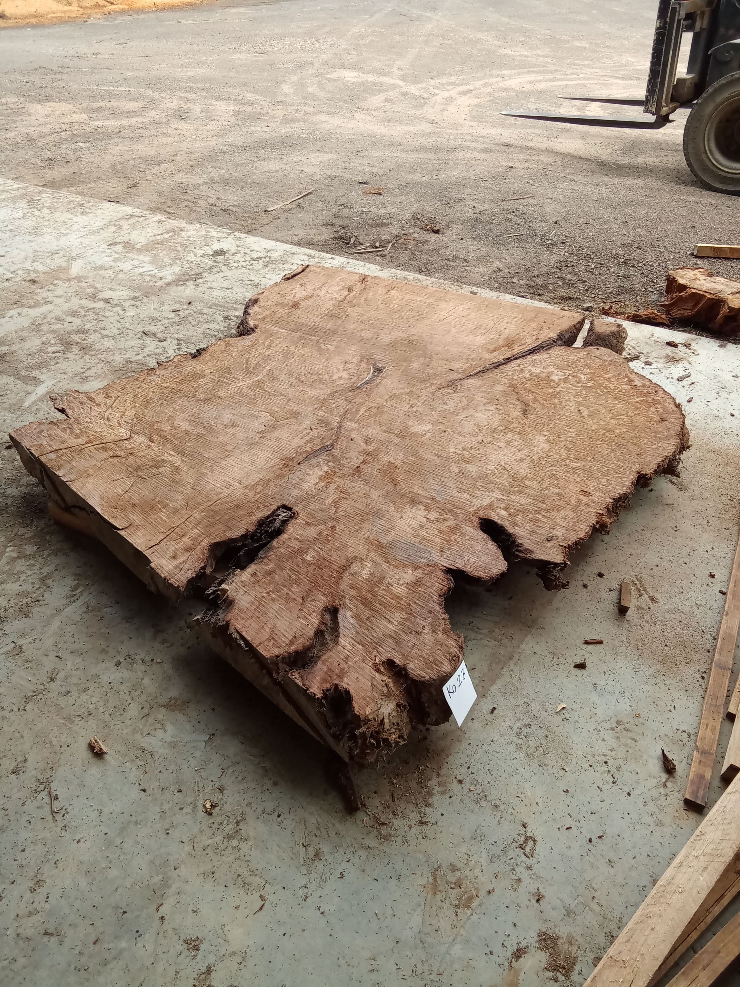 Kauri Slab #23 view 1