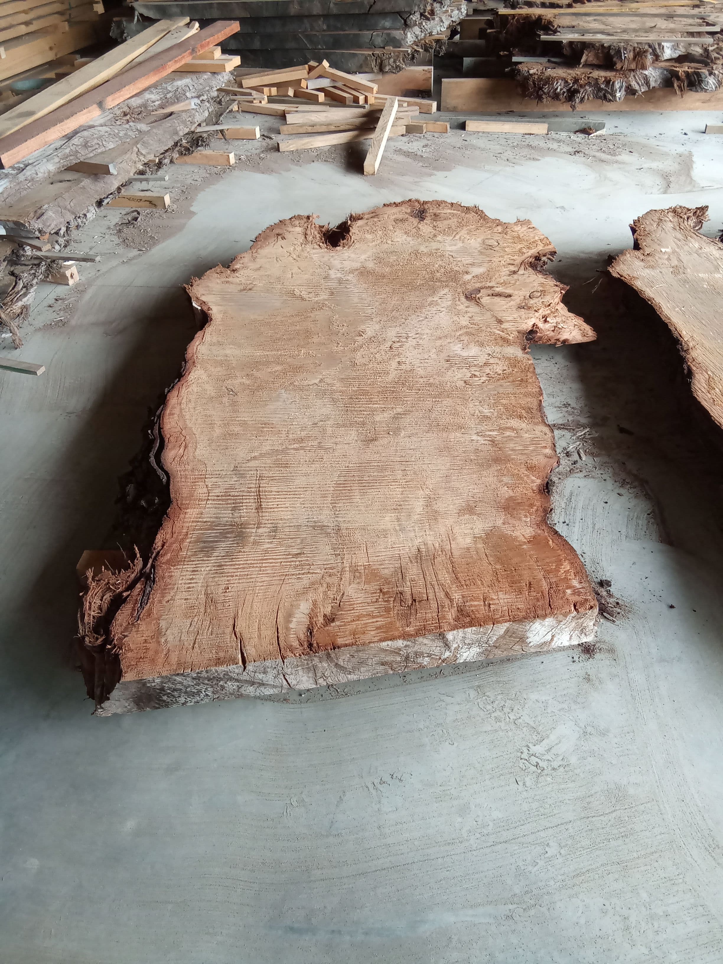 Kauri Slab #5