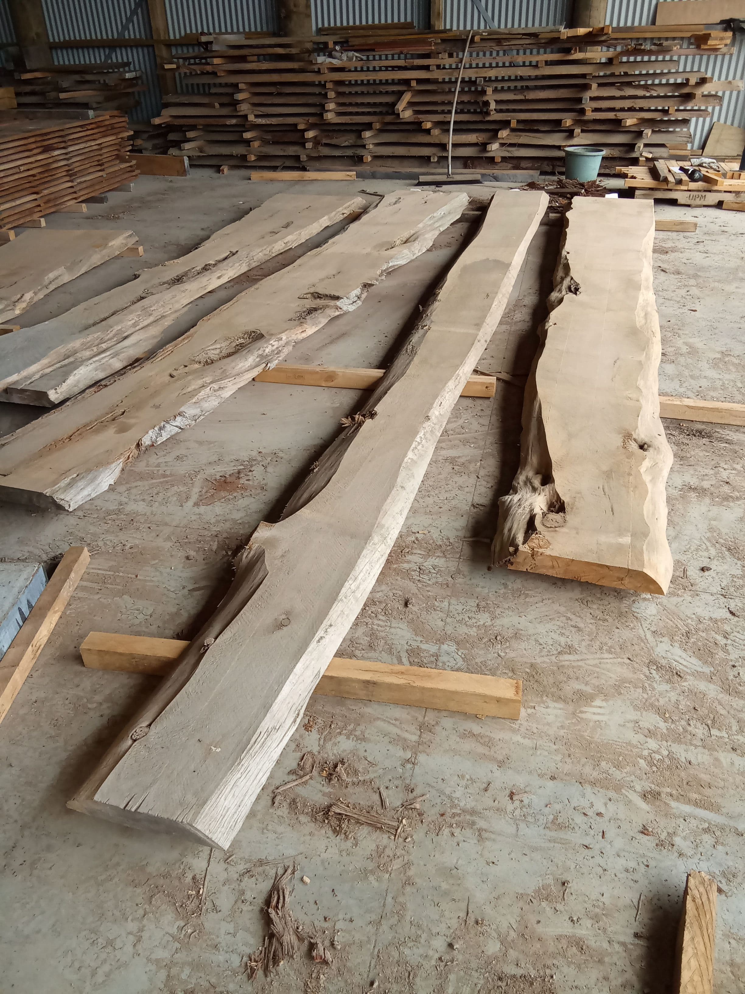 Macrocarpa Slab #29 view 1