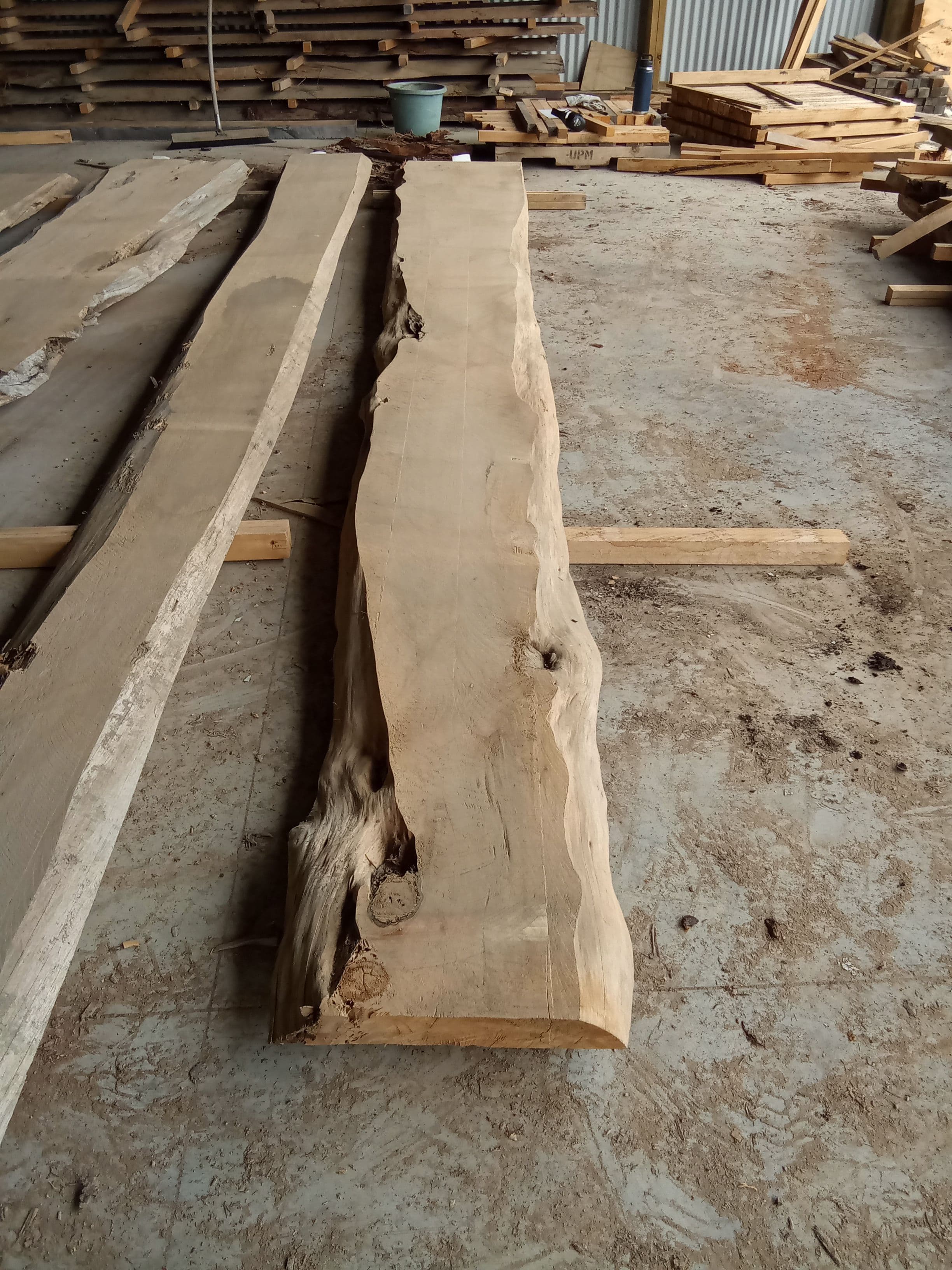 Macrocarpa Slab #30 view 2