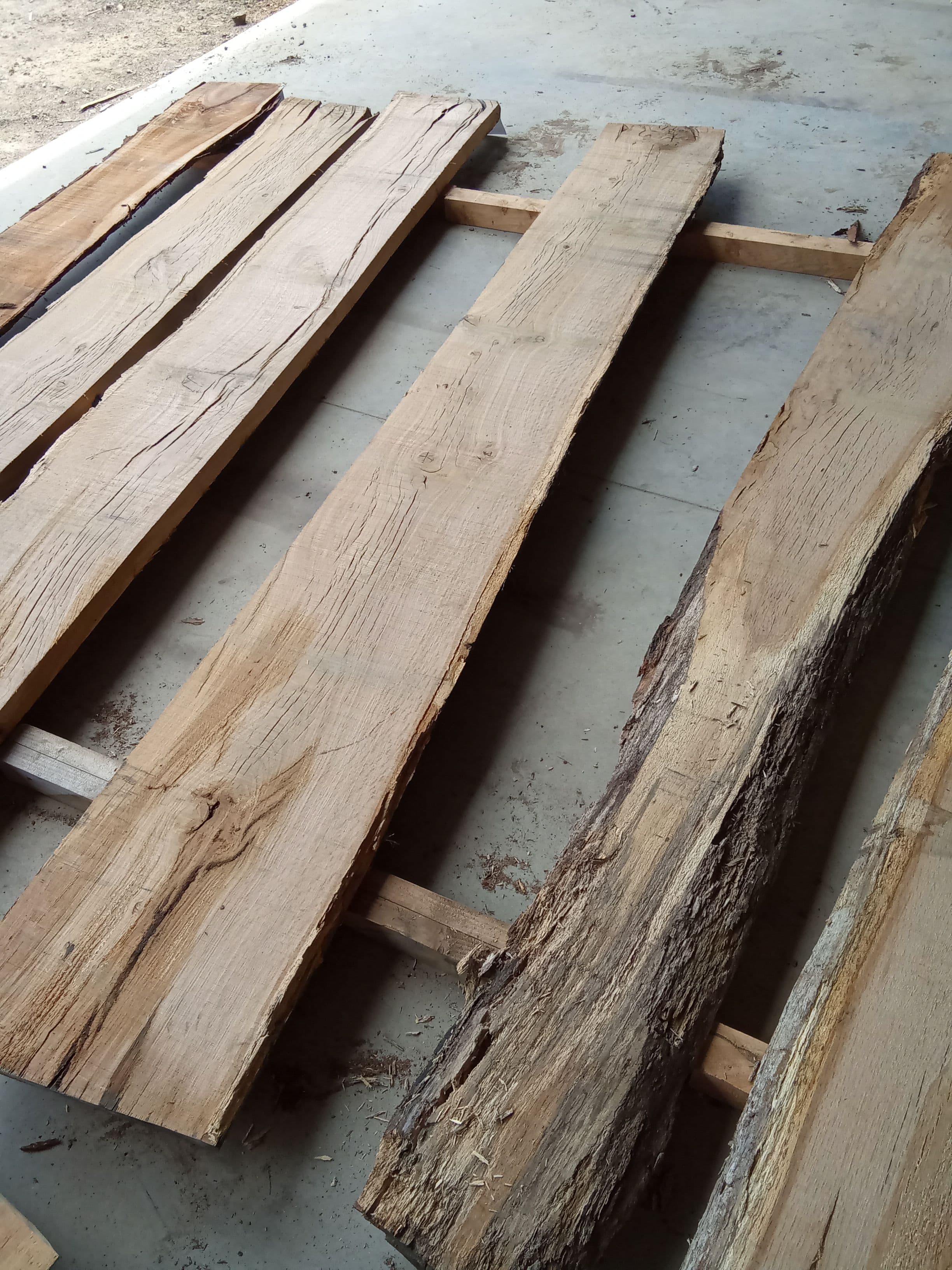 Oak Slab #8 view 1