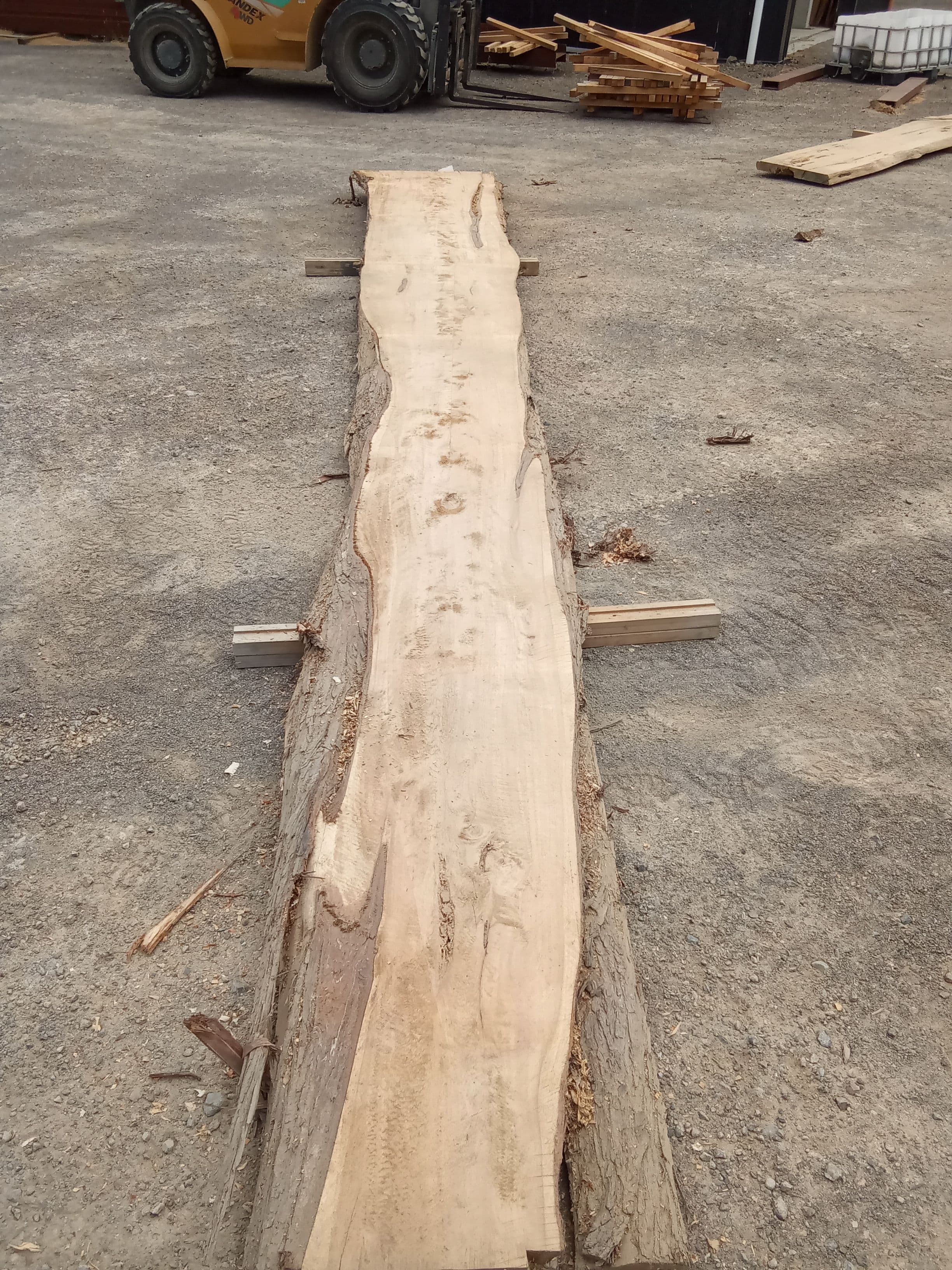 Macrocarpa Slab #9