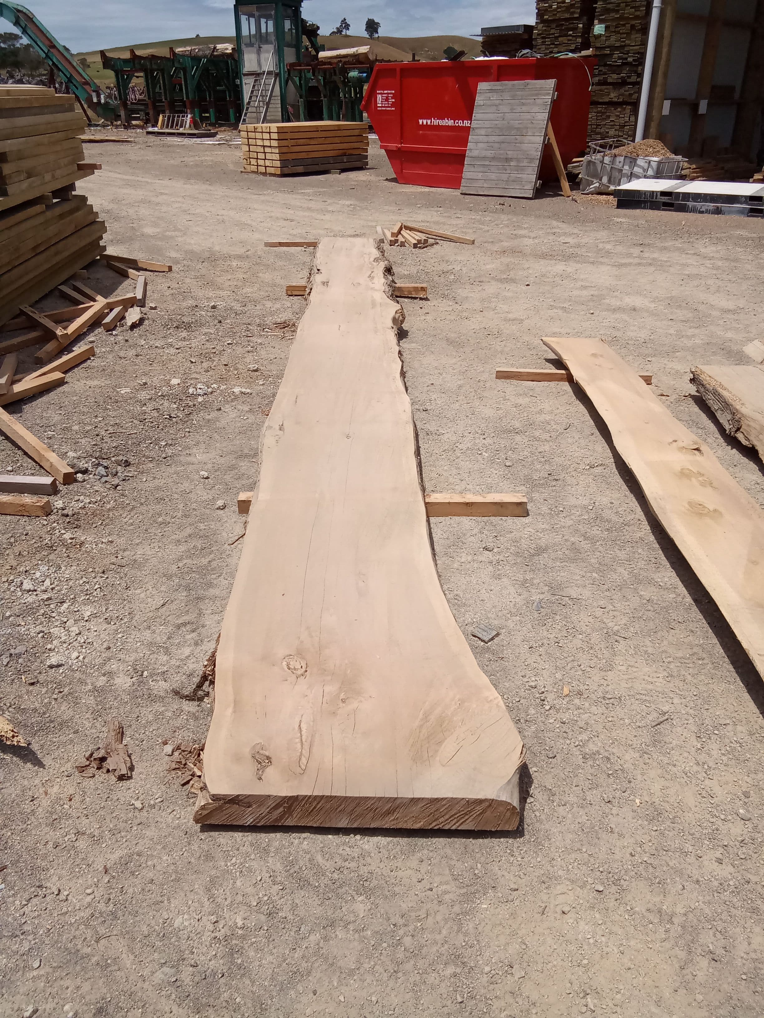 Macrocarpa Slab #12 view 2