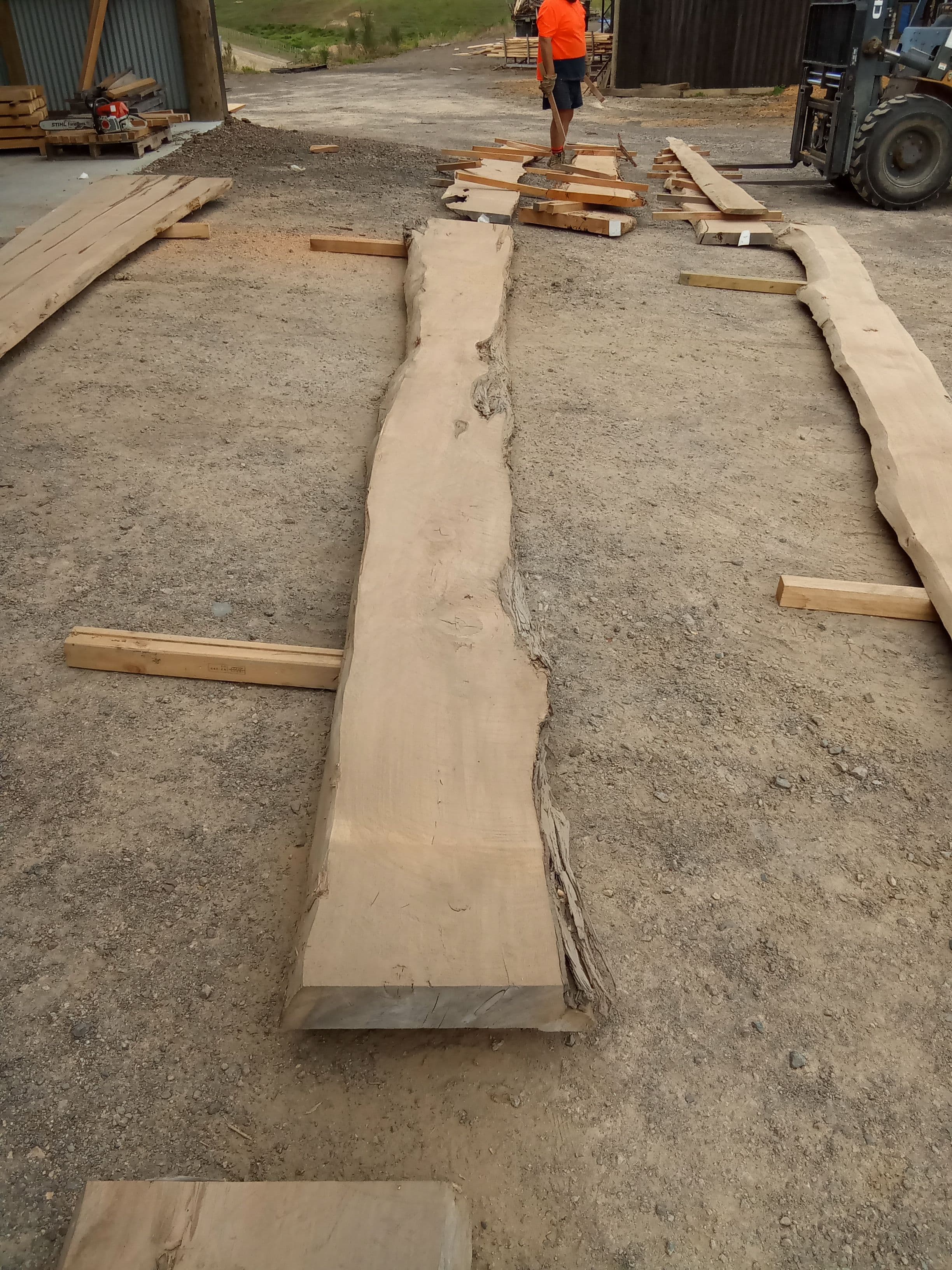 Macrocarpa Slab #3 view 2