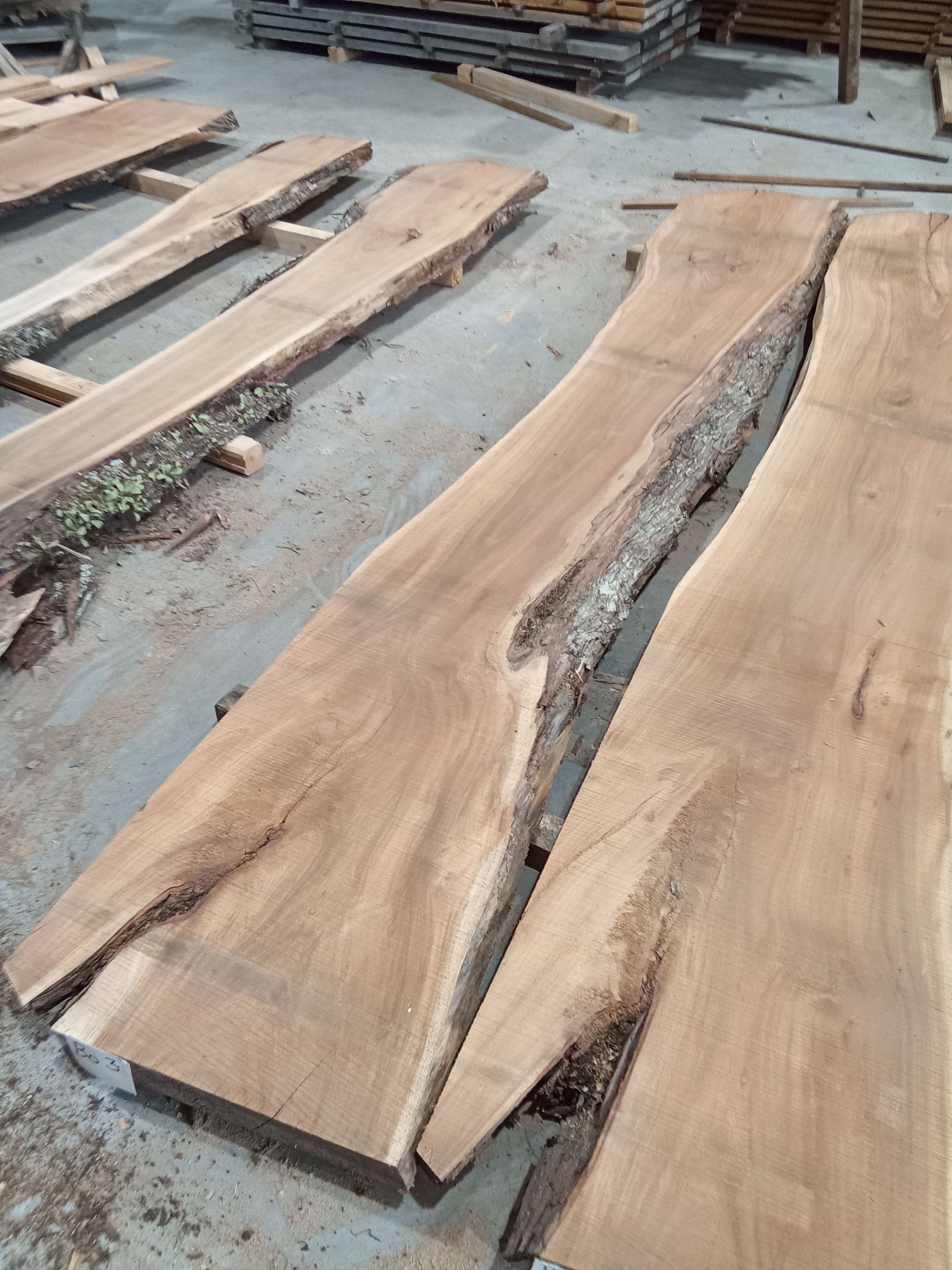 Blackwood Slab #3 view 1