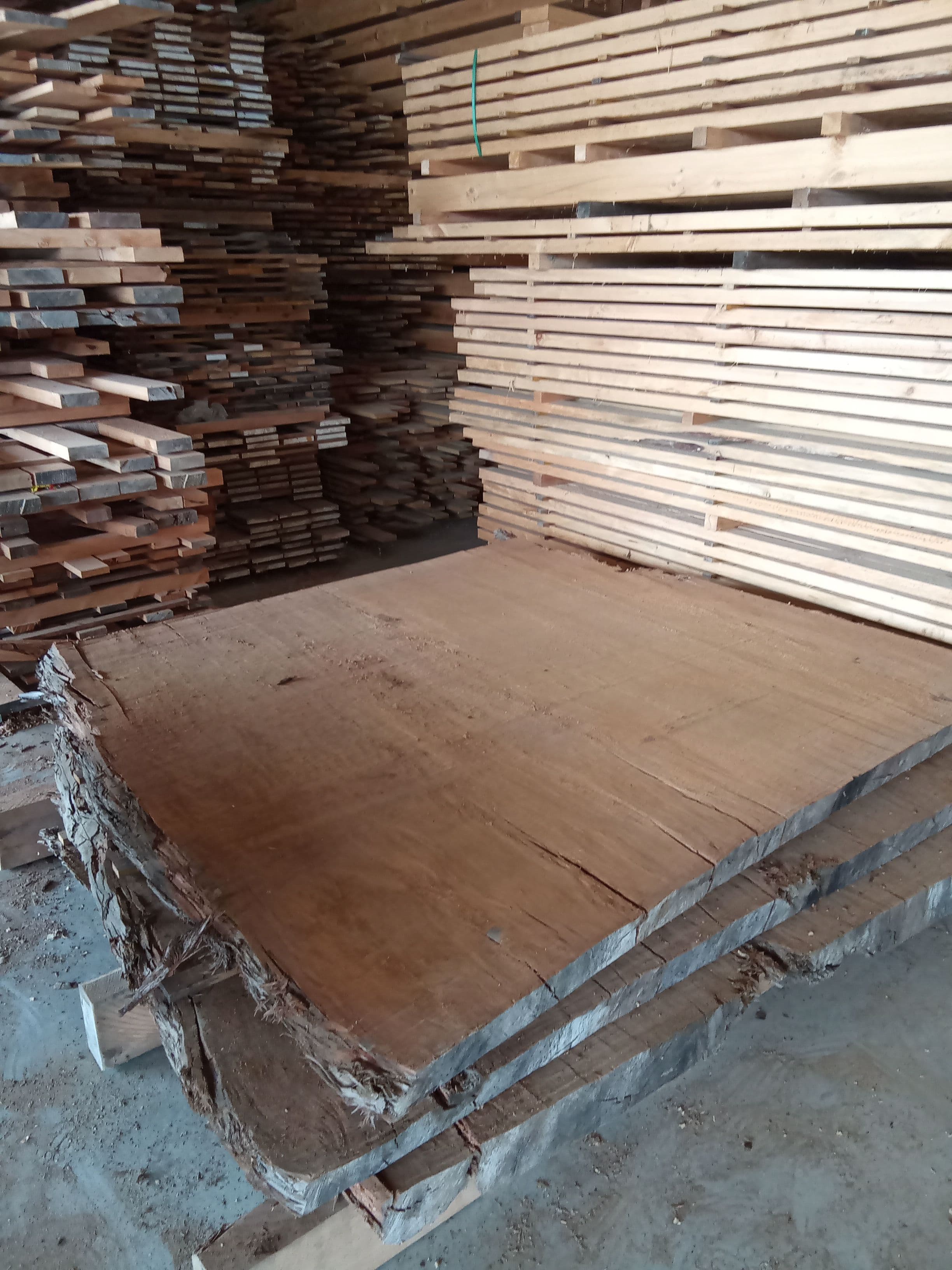 Kauri Slab #17 view 1