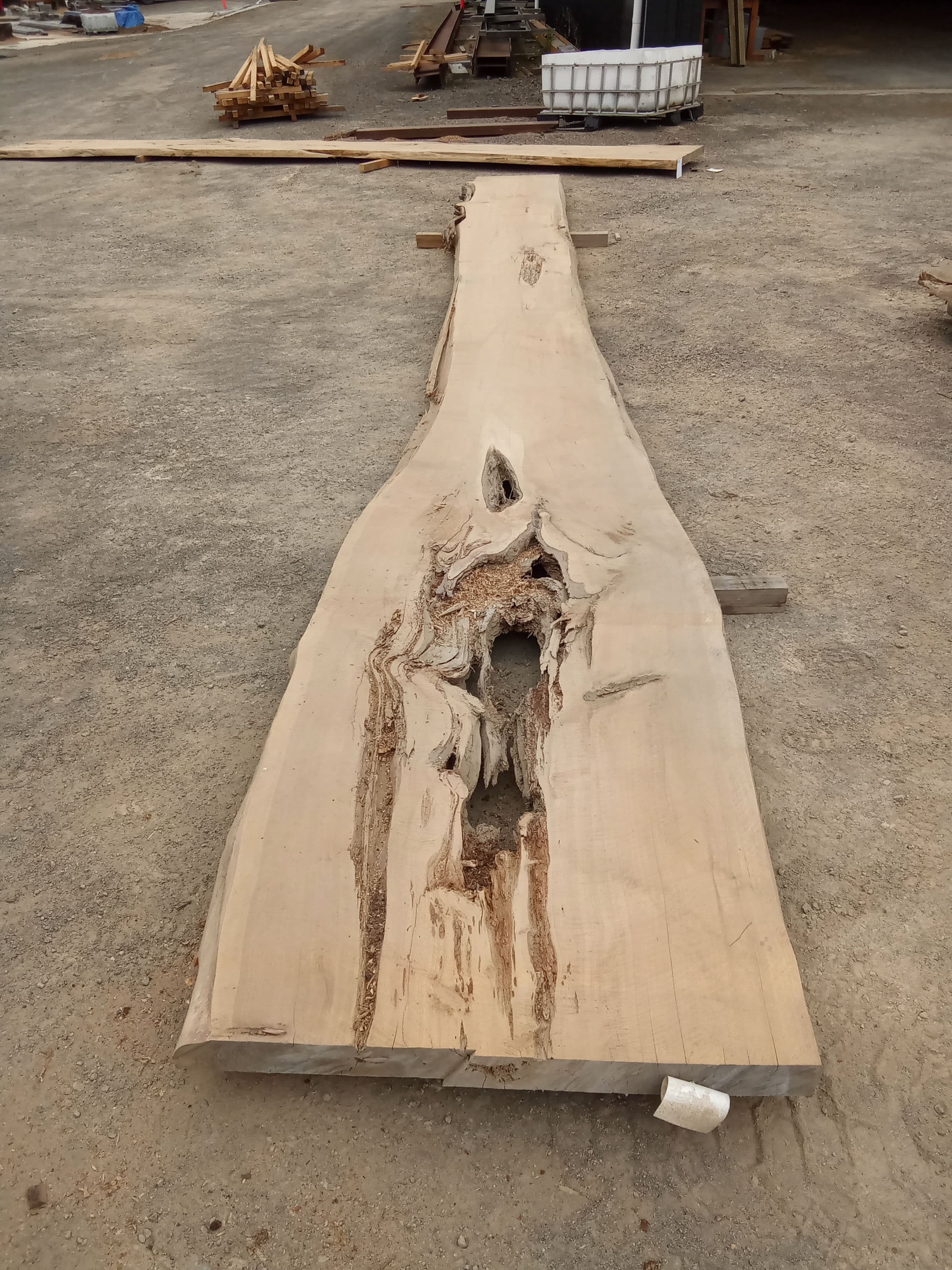 Macrocarpa Slab #11 view 2