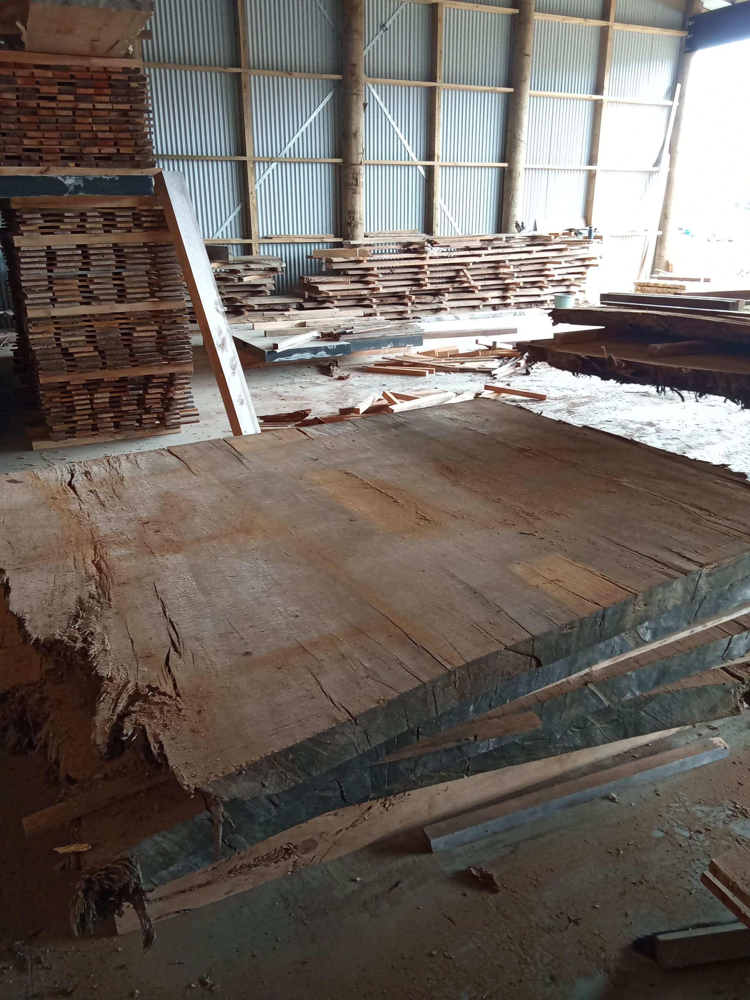 Kauri Slab #16
