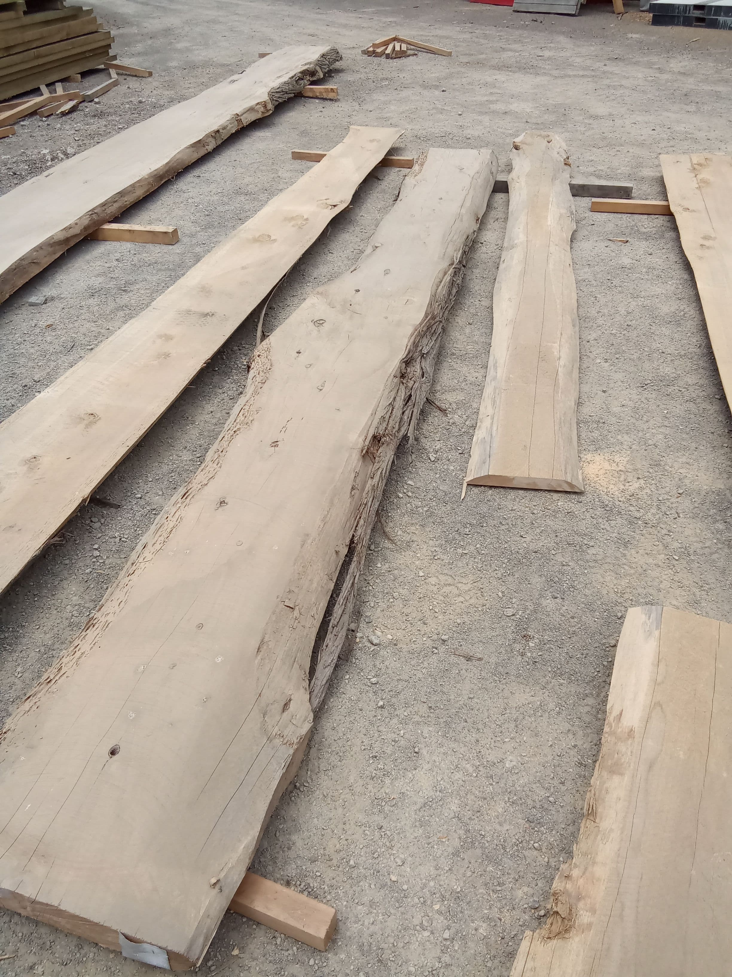 Macrocarpa Slab #14 view 1