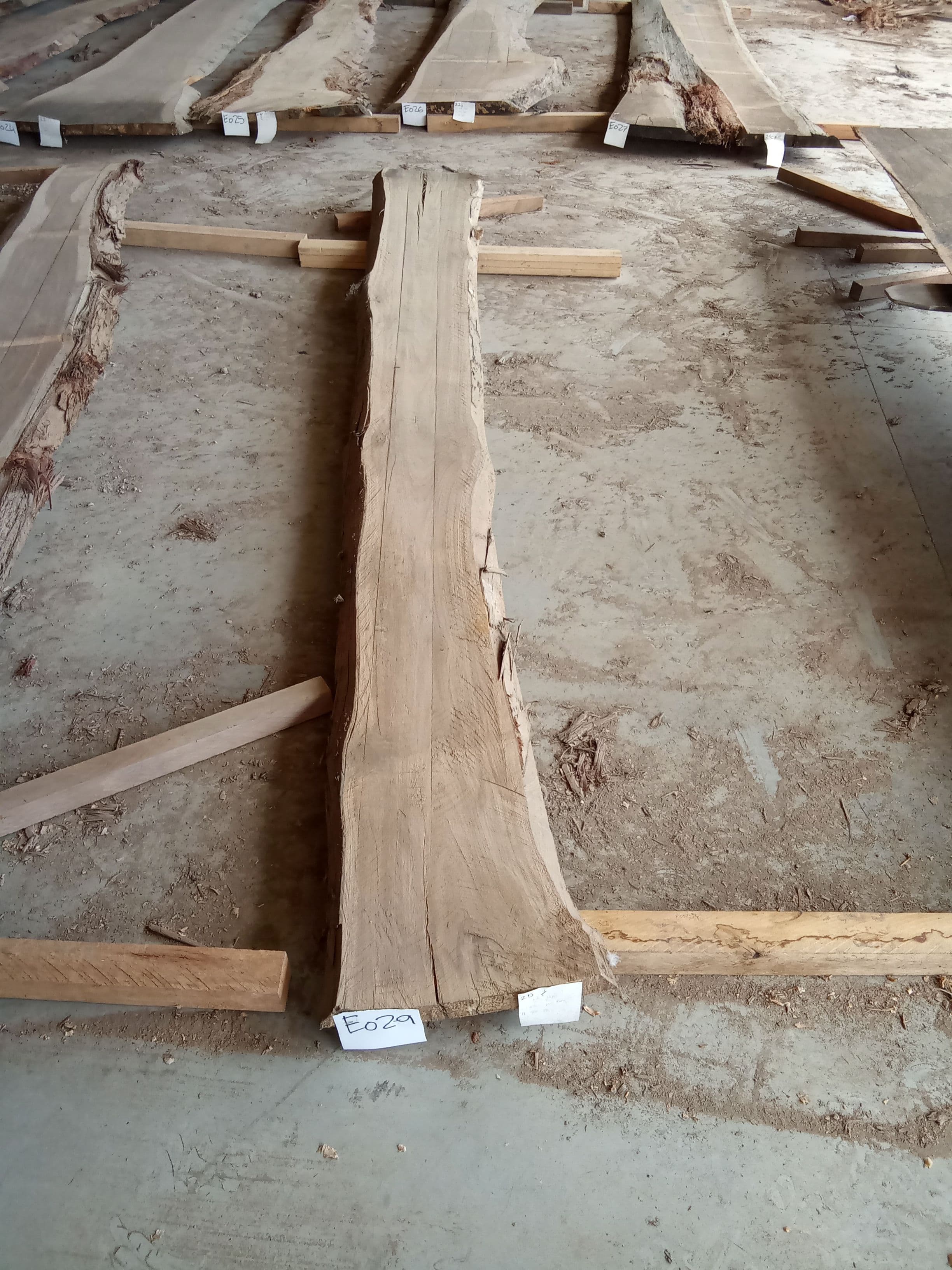 Blackbutt Eucalyptus Slab #29