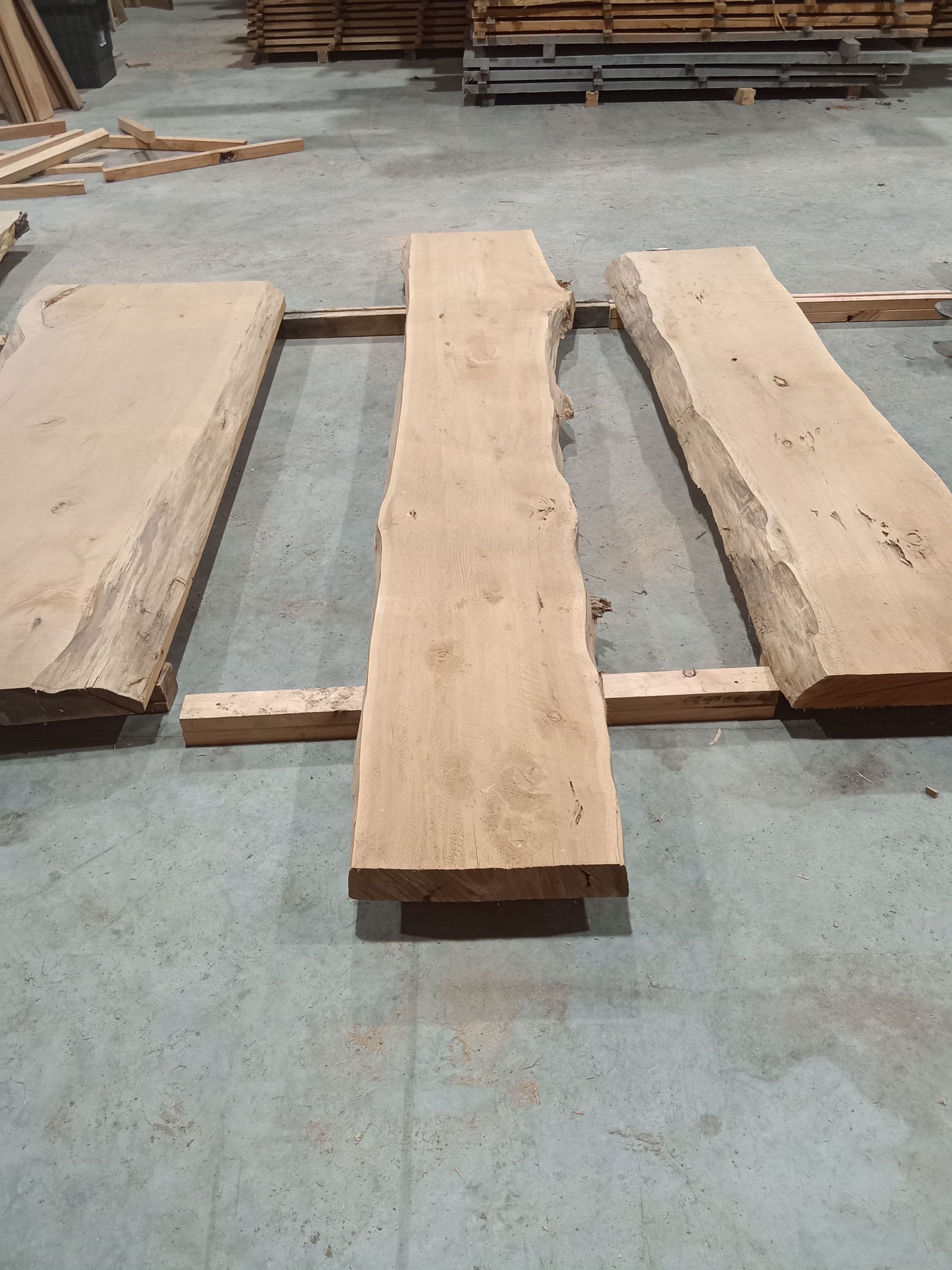 Macrocarpa Slab #35