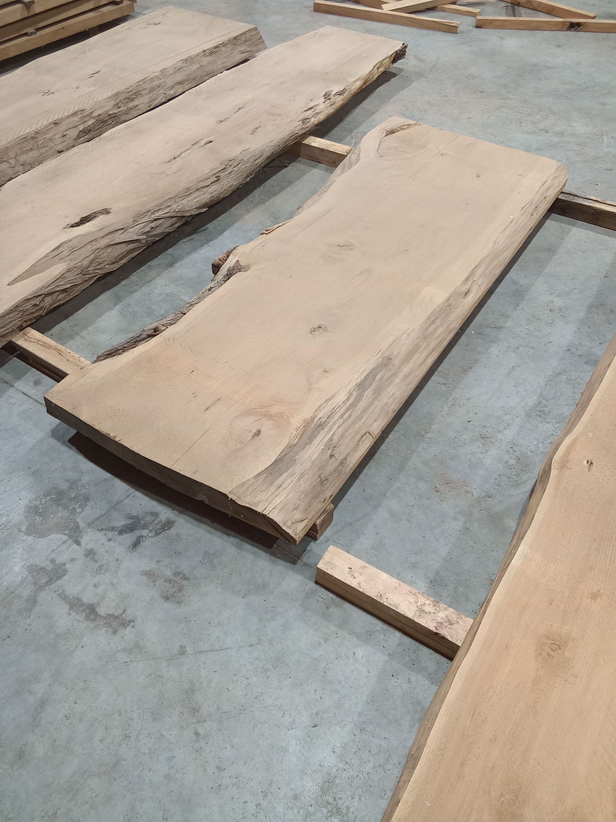 Macrocarpa Slab #36 view 1
