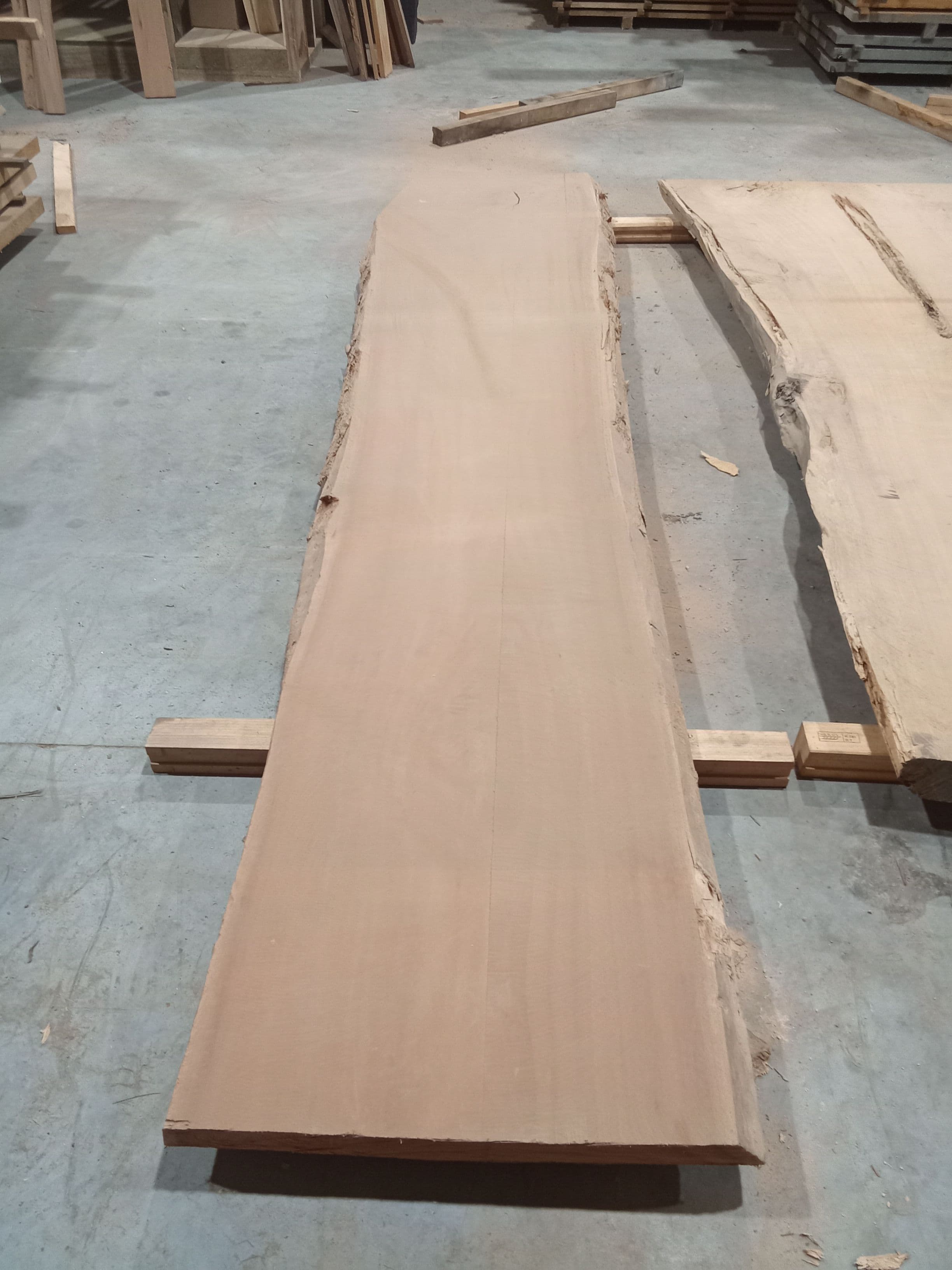Saligna Eucalyptus Slab #20