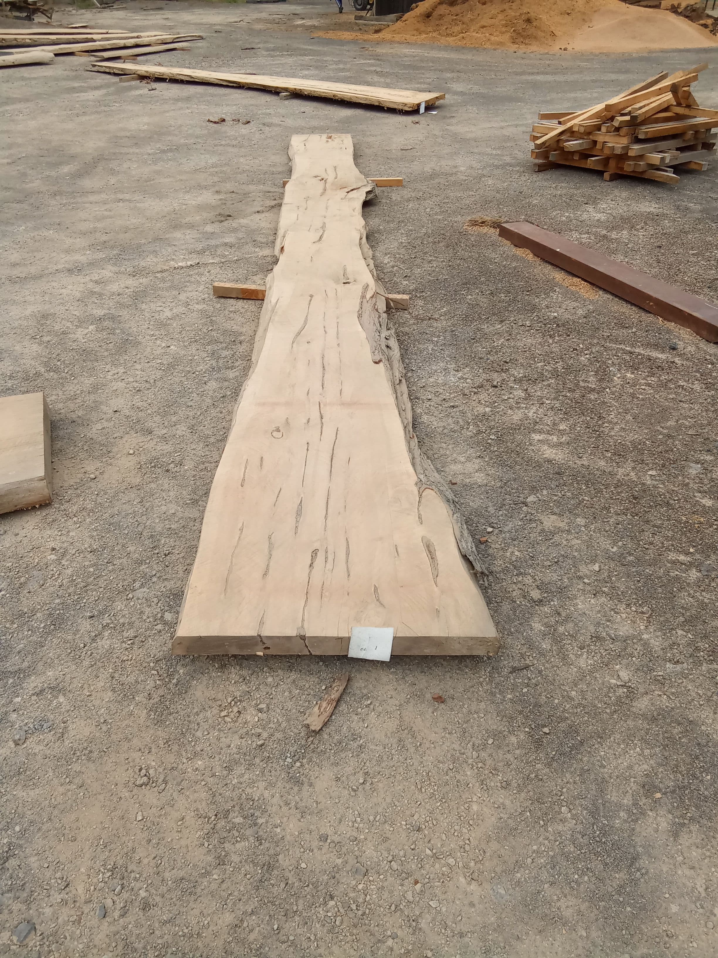 Macrocarpa Slab #10 view 2