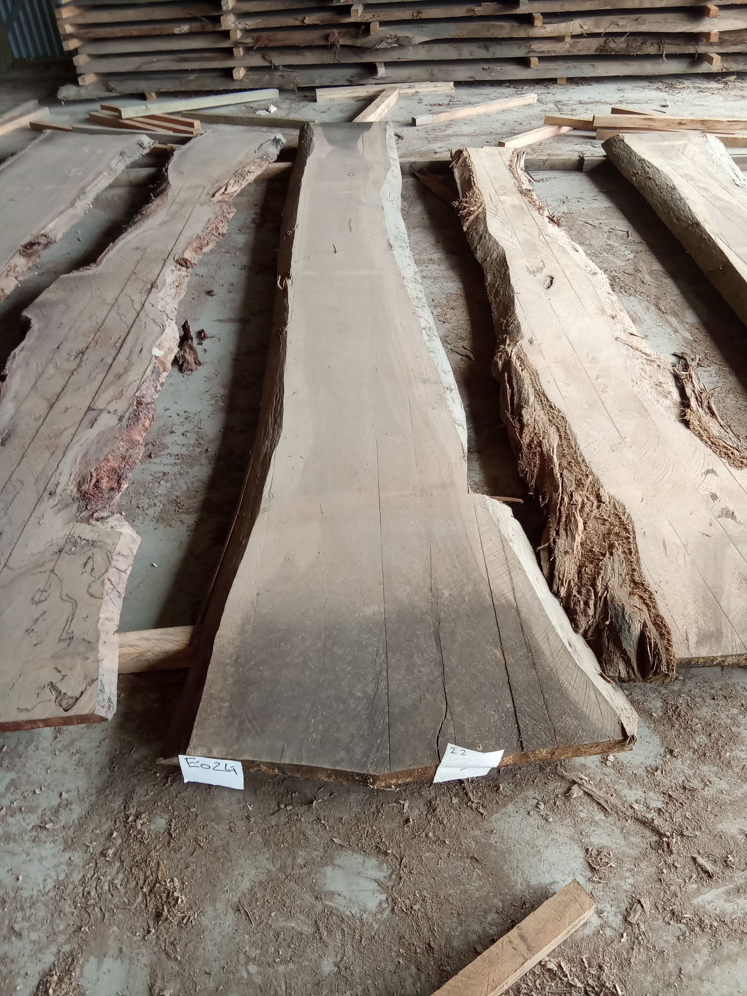 Blackbutt Eucalyptus Slab #24