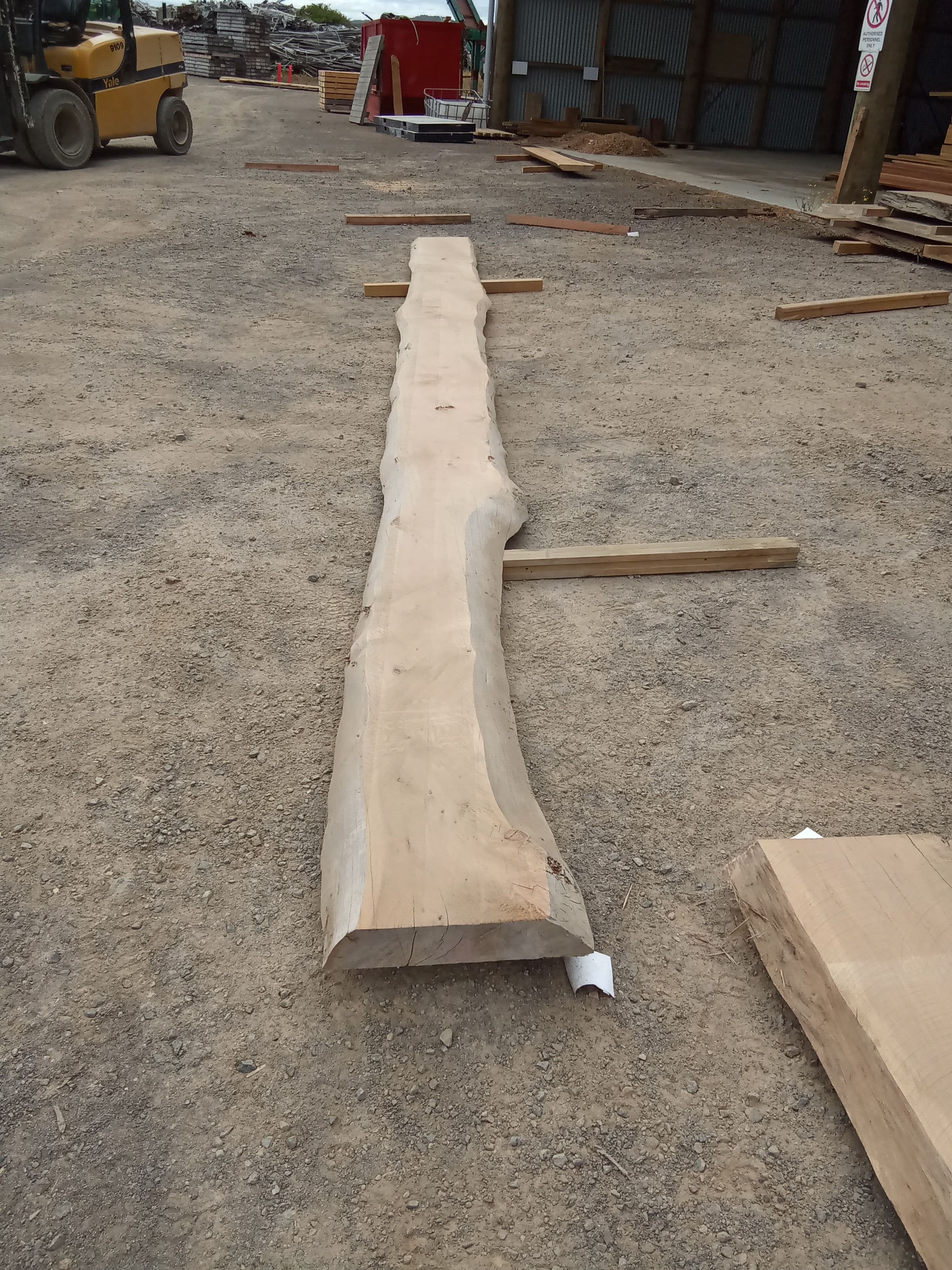 Macrocarpa Slab #8