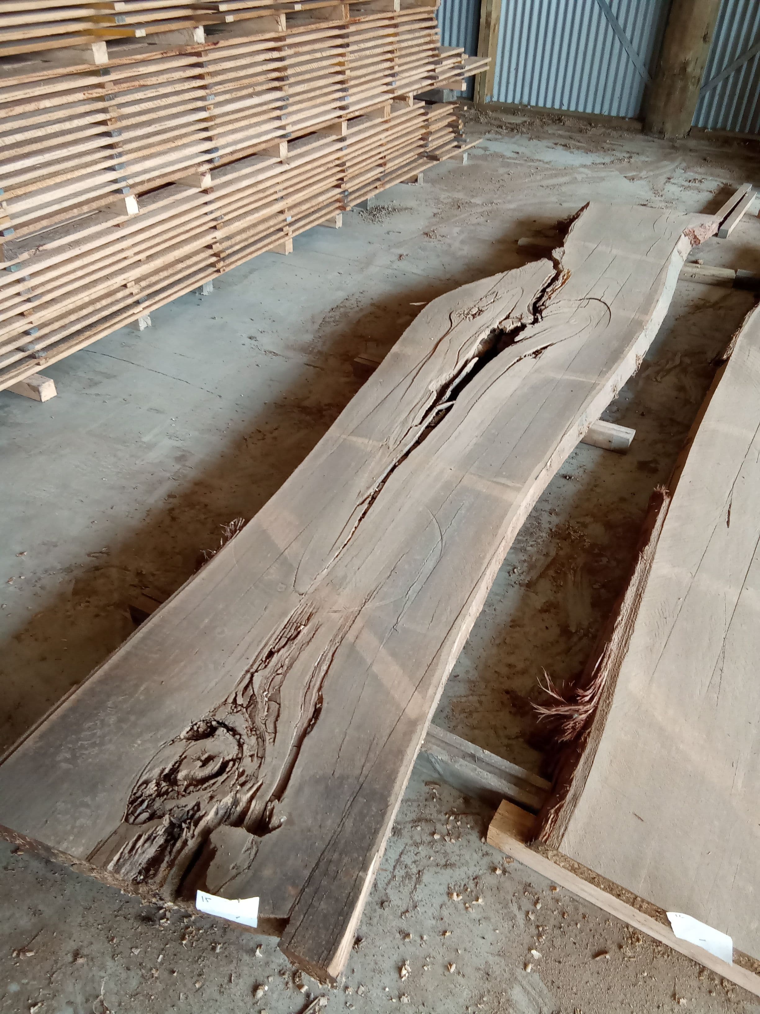Blackbutt Eucalyptus Slab #21 view 1