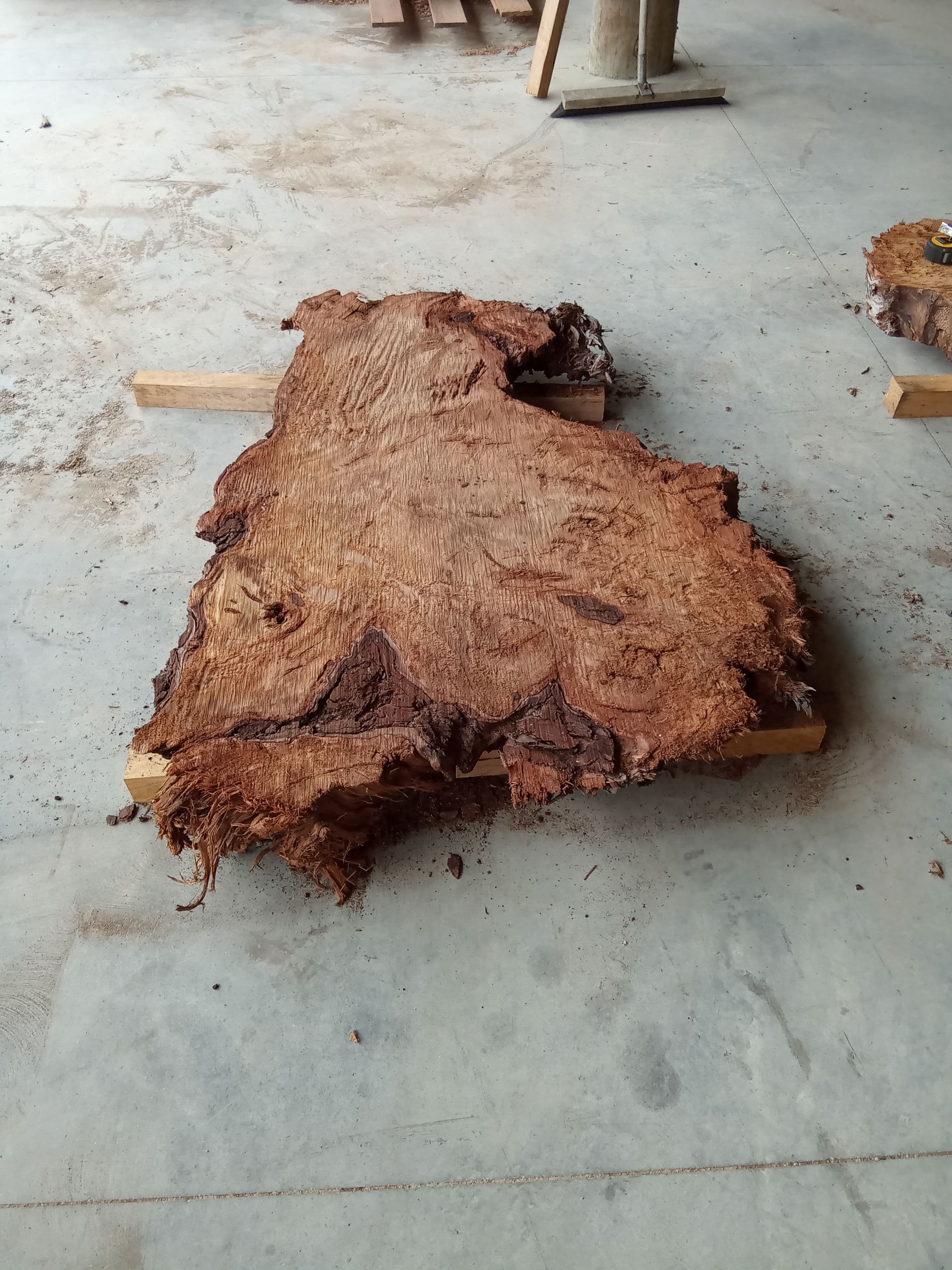 Kauri Slab #3 view 2