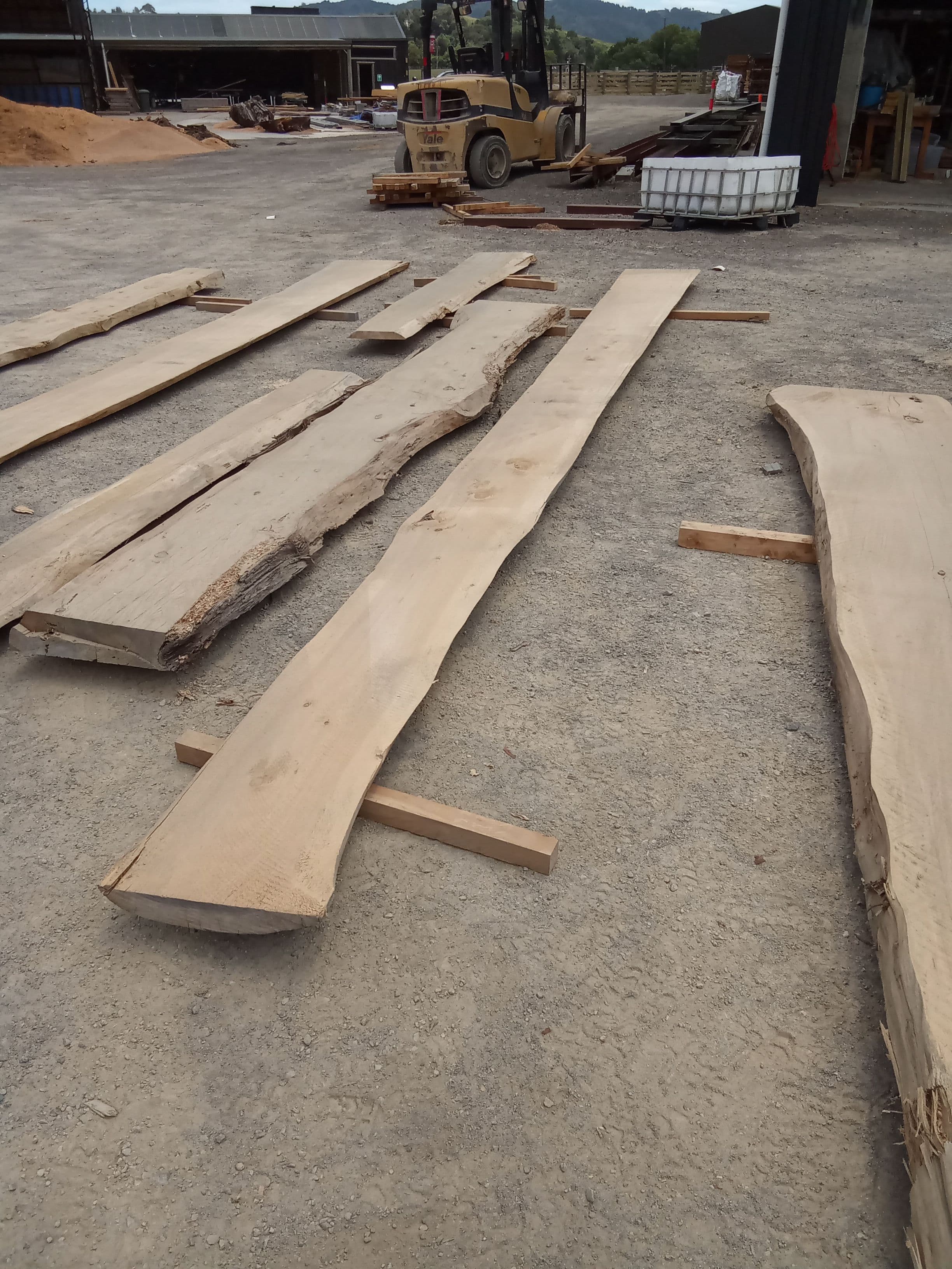 Macrocarpa Slab #13 view 1
