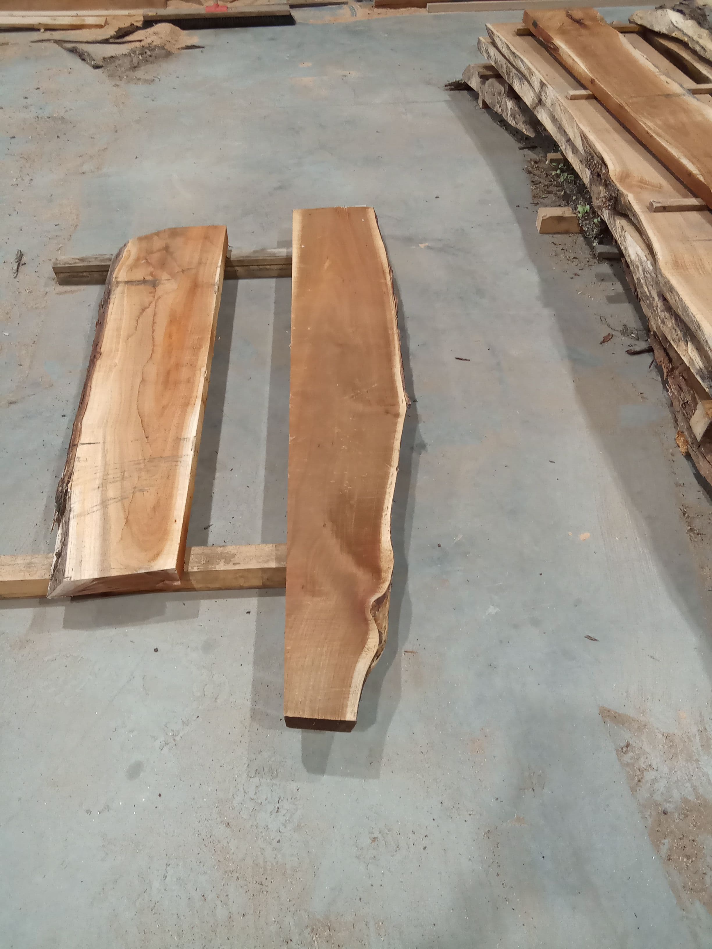 Blackwood Slab #9 view 2