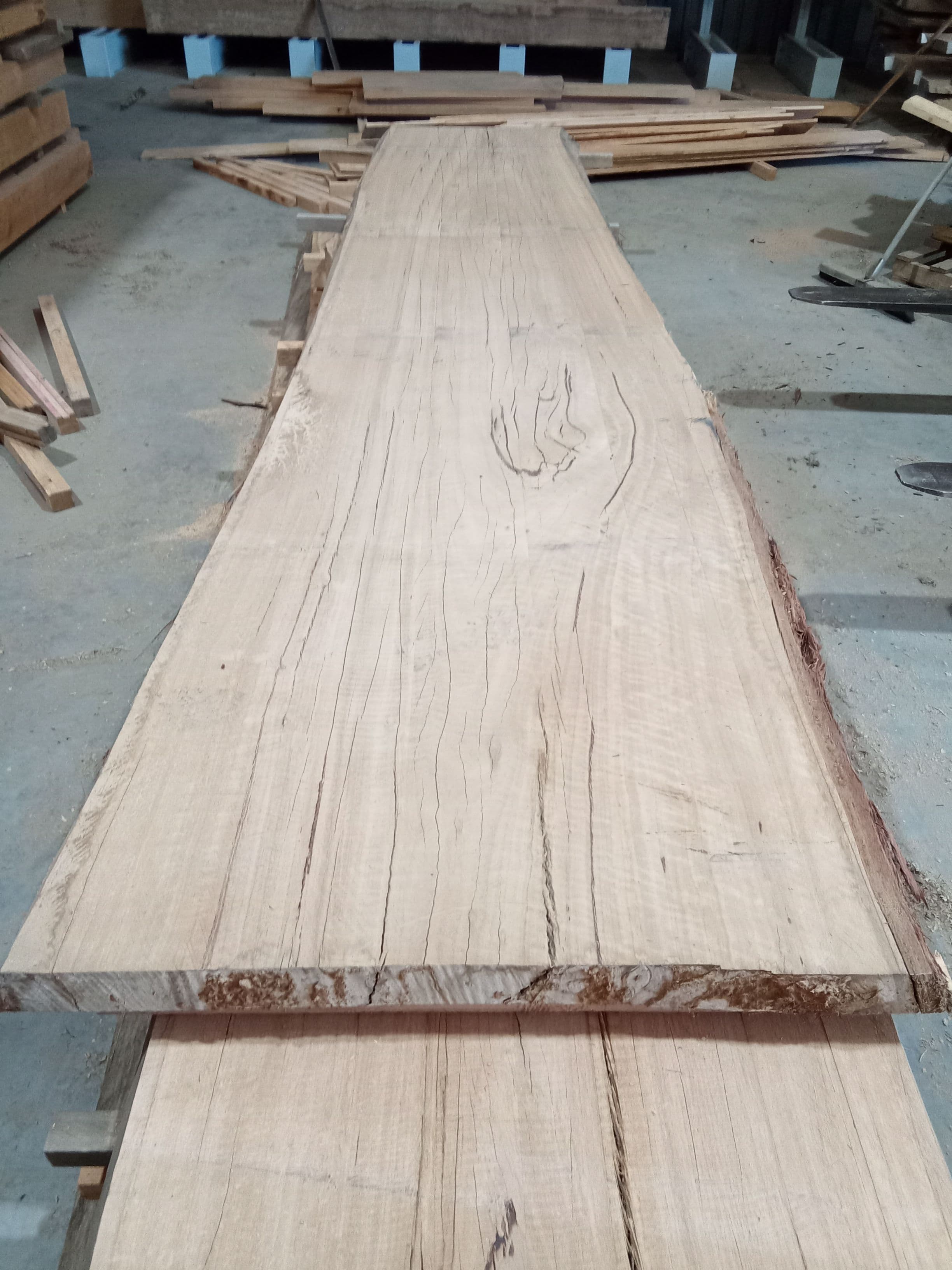 Blackbutt Eucalyptus Slab #4 view 2