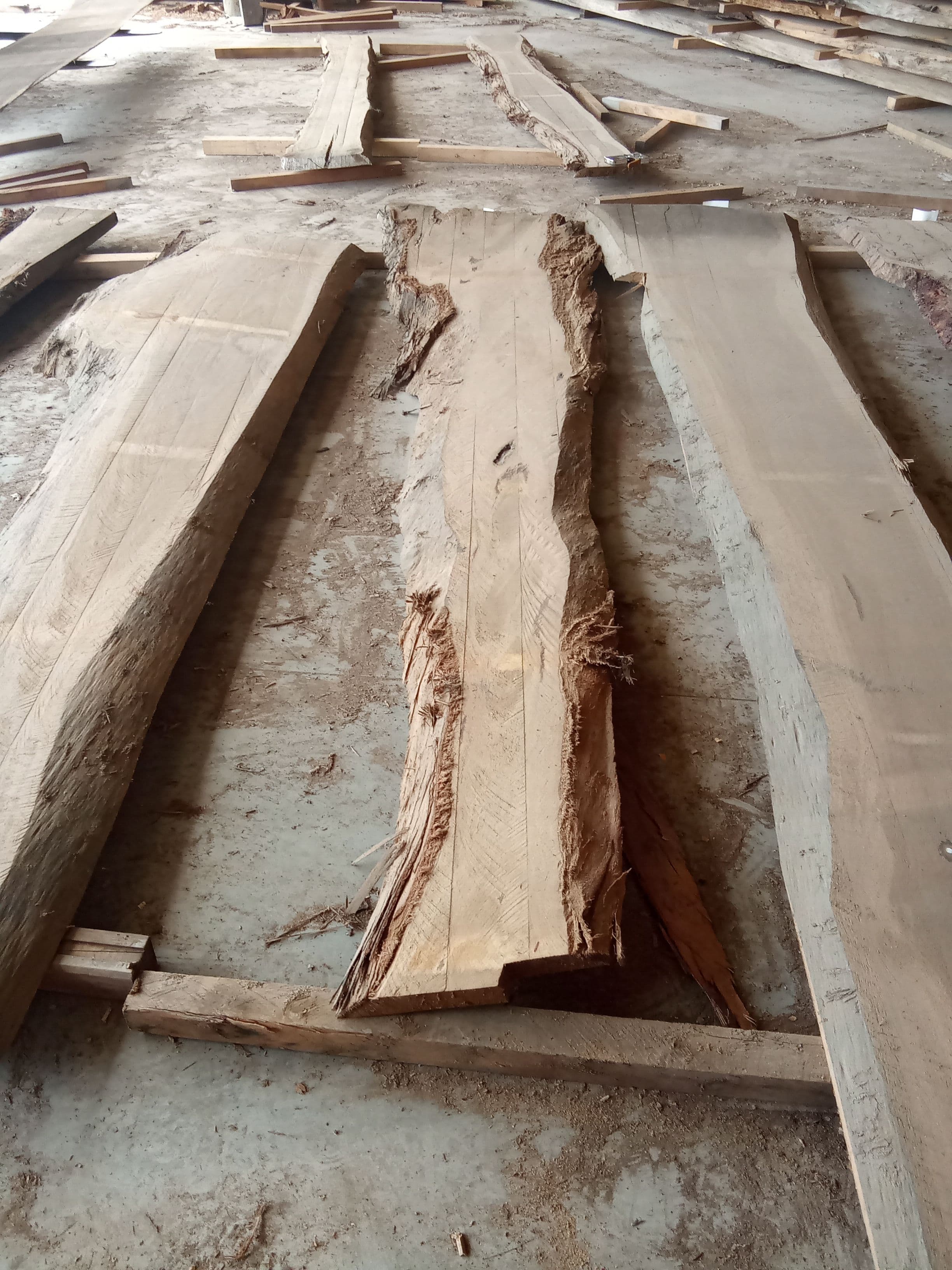Blackbutt Eucalyptus Slab #25 view 2
