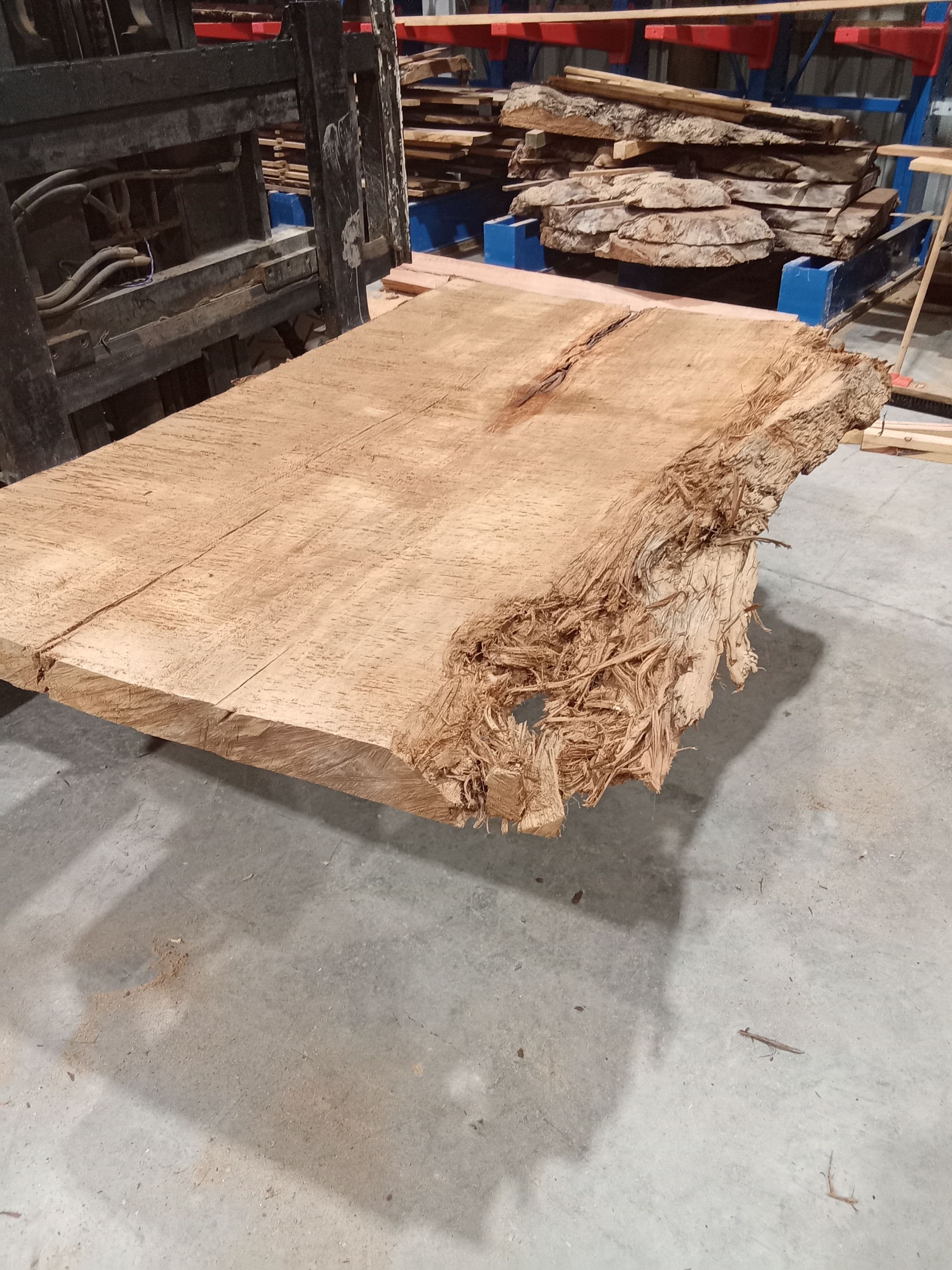 Kauri Slab #25 view 1
