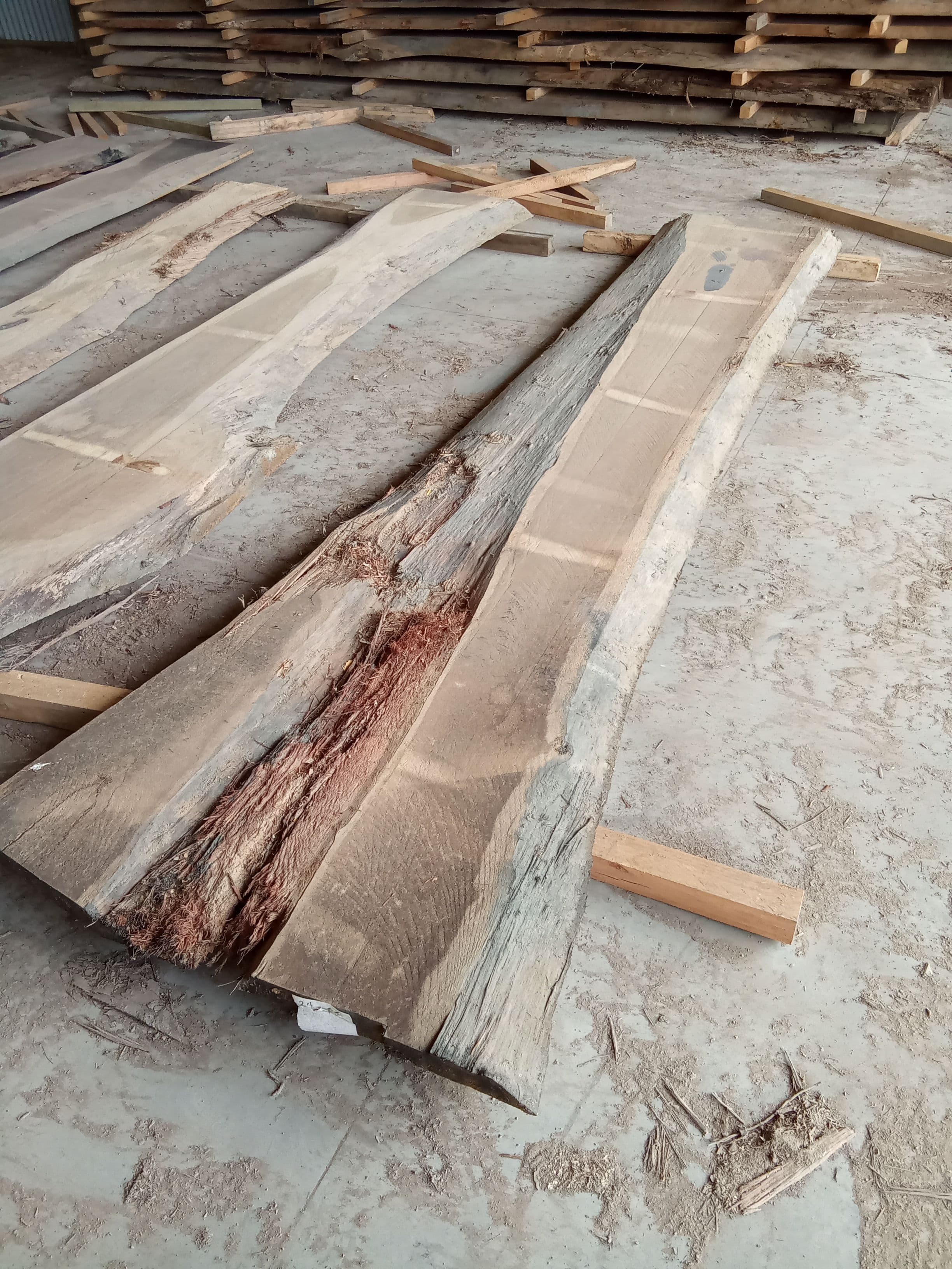 Blackbutt Eucalyptus Slab #27 view 1