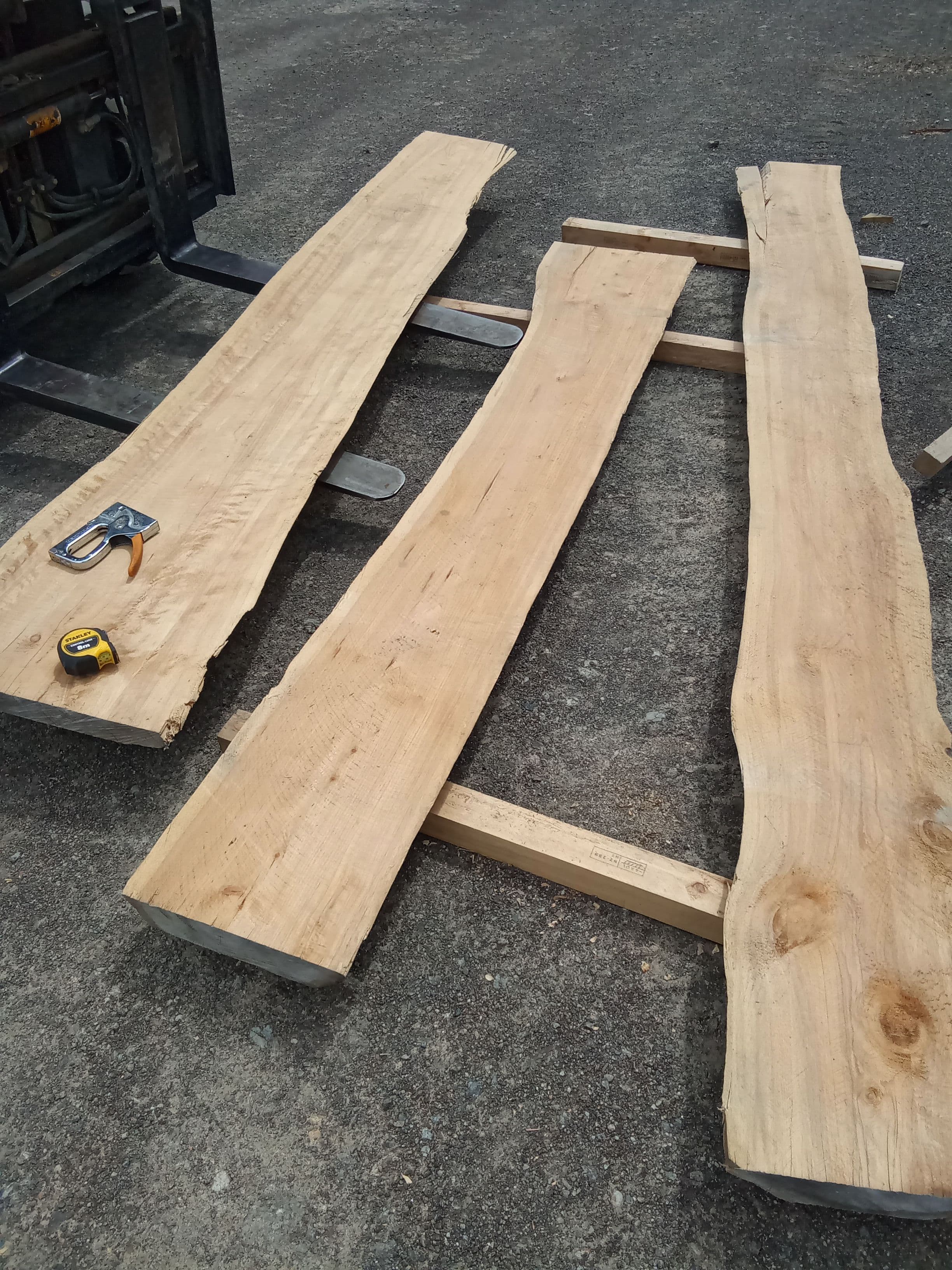 Macrocarpa Slab #41 view 1
