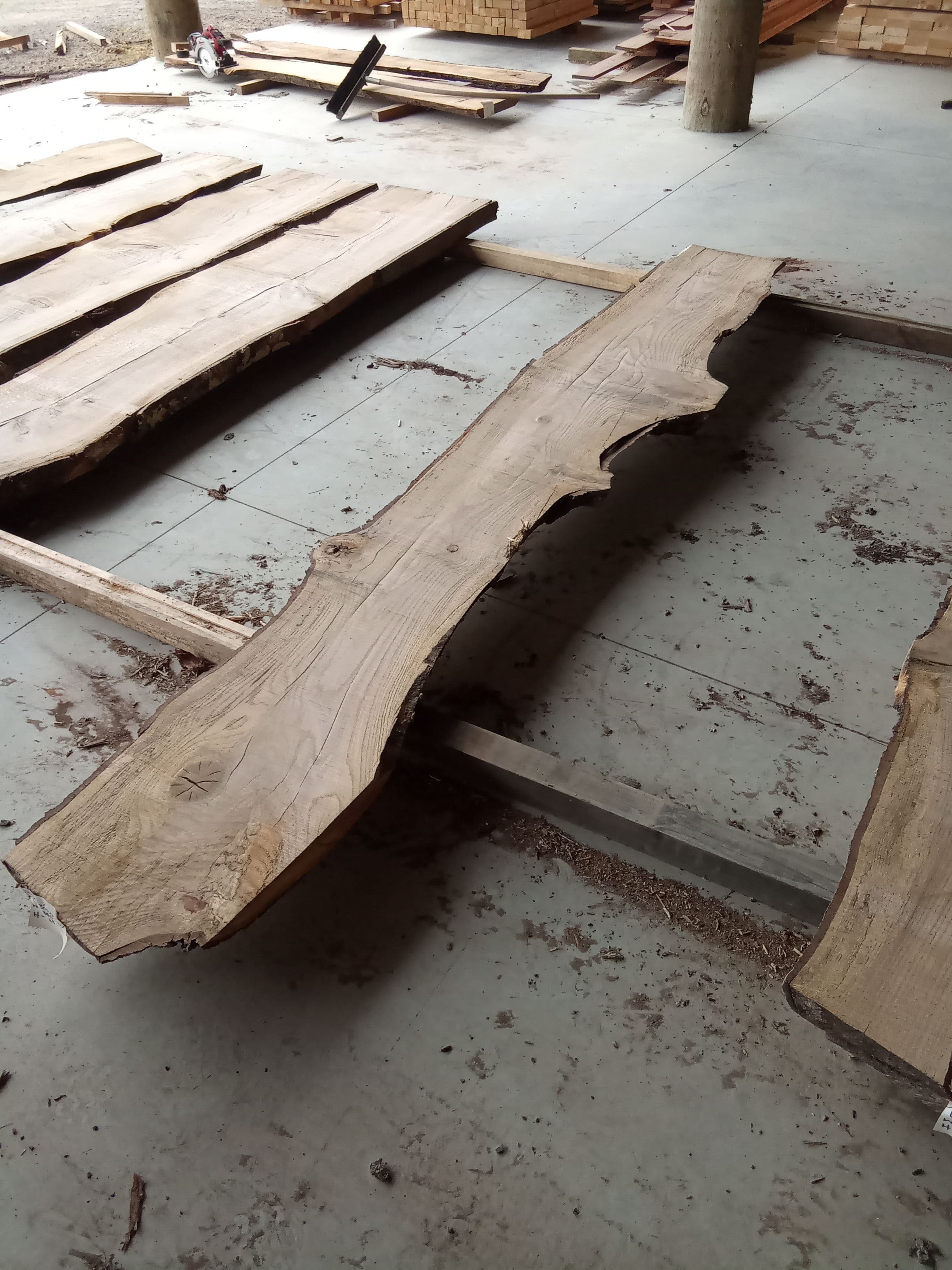 Oak Slab #21 view 1