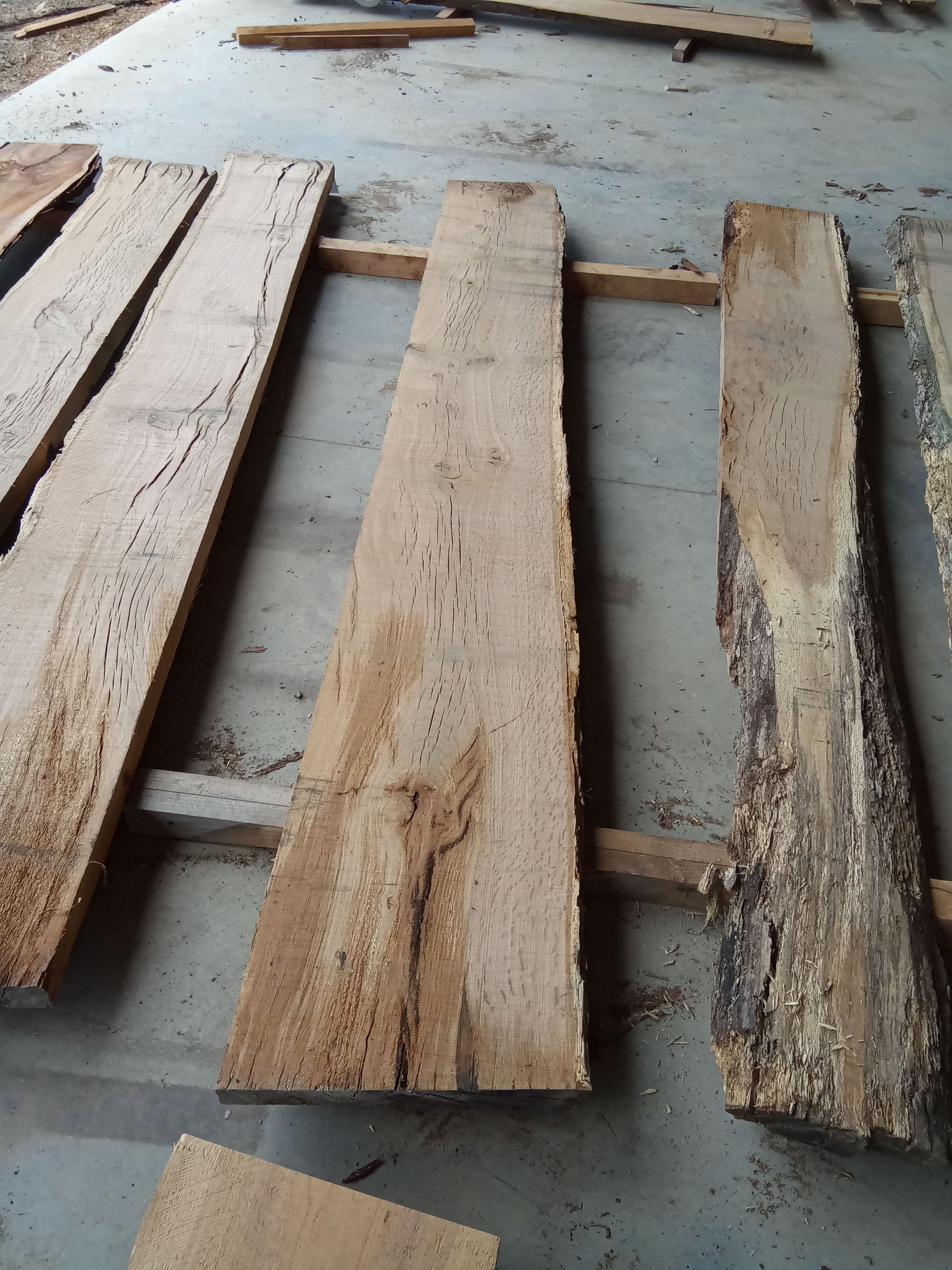 Oak Slab #8