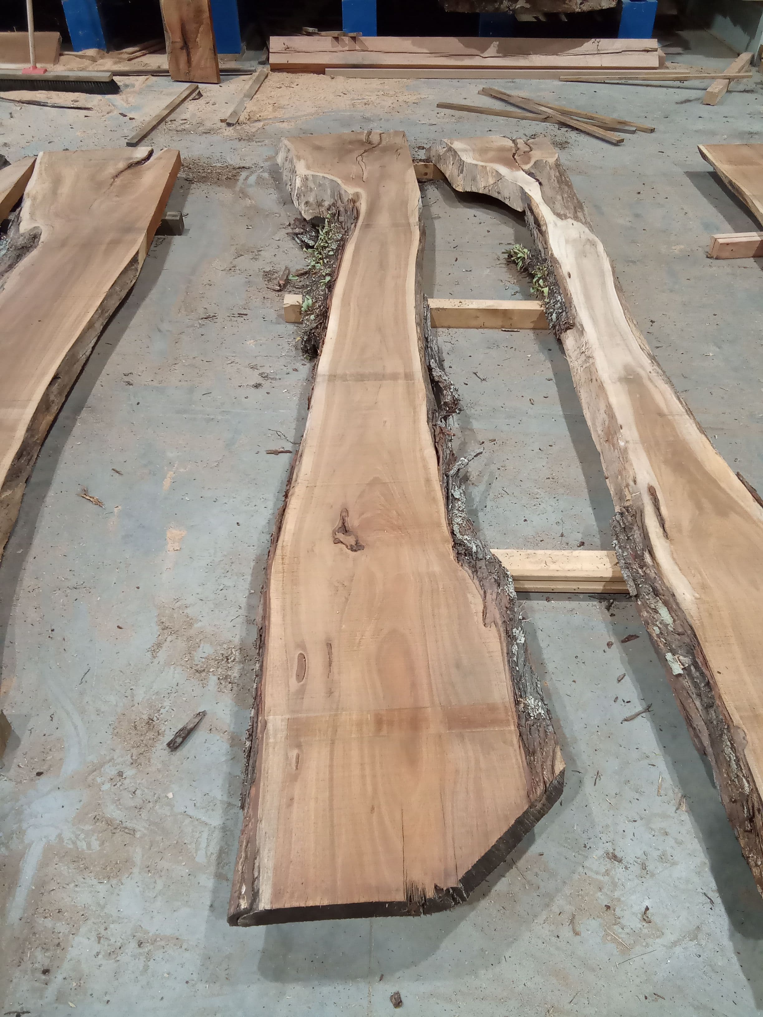 Blackwood Slab #2