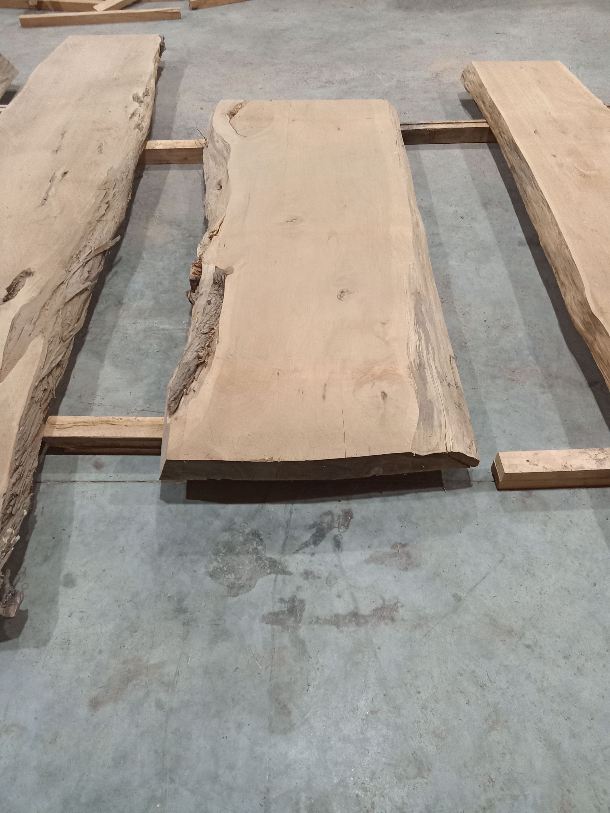Macrocarpa Slab #36