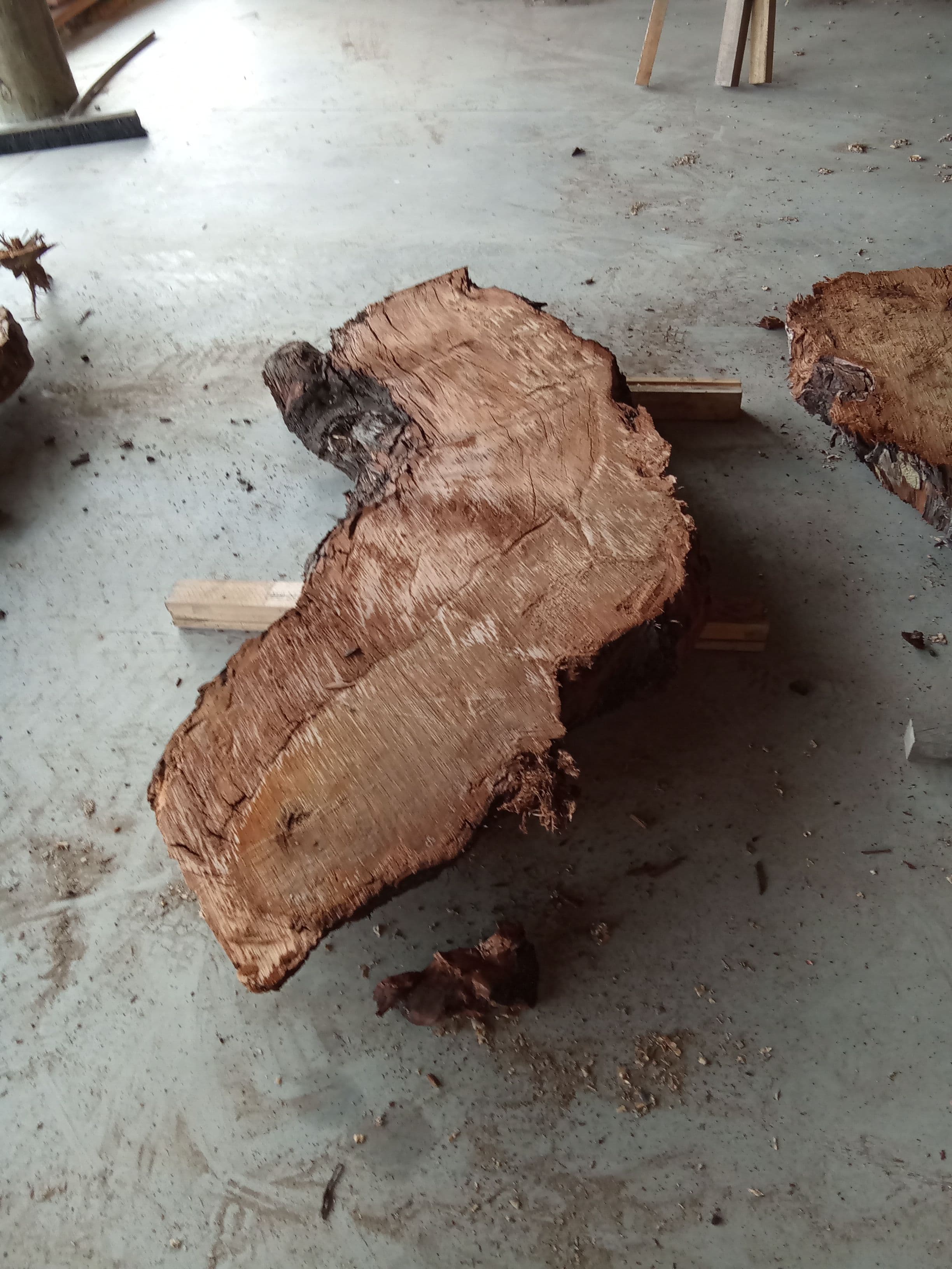 Kauri Slab #1 view 2