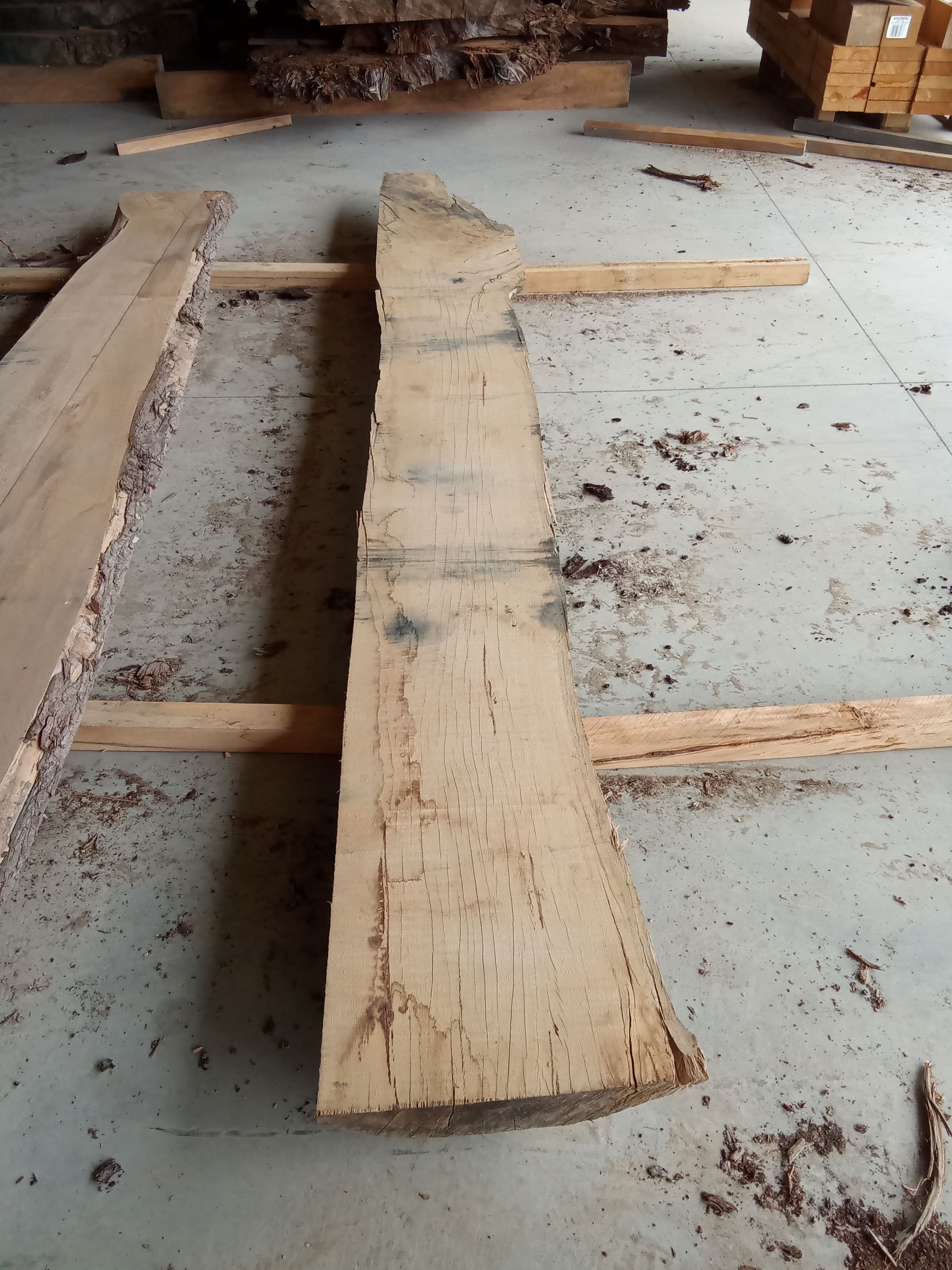 Blackbutt Eucalyptus Slab #5