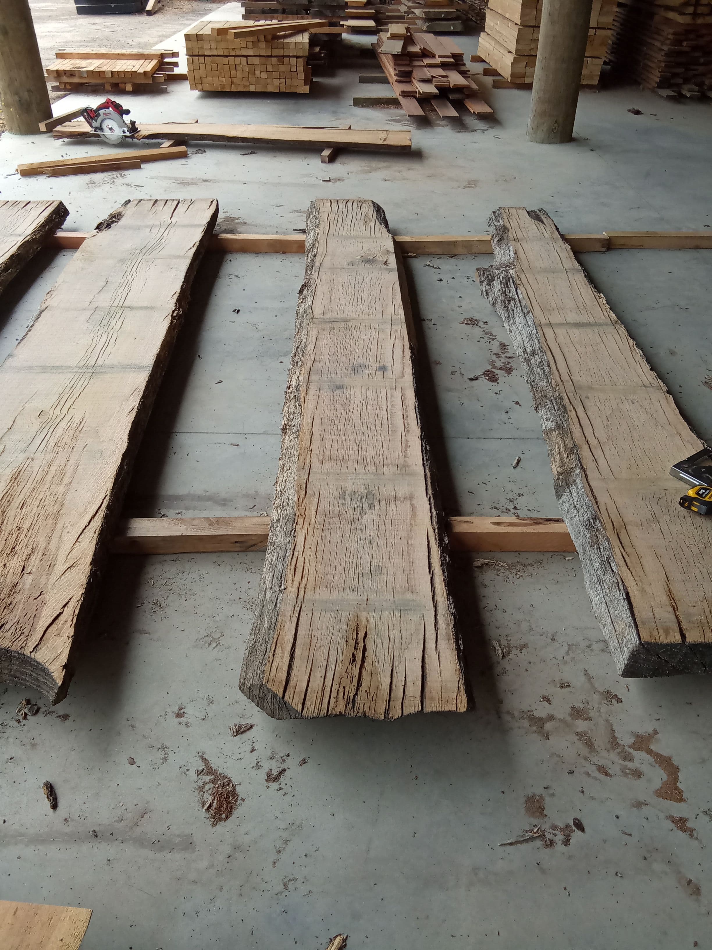 Oak Slab #17