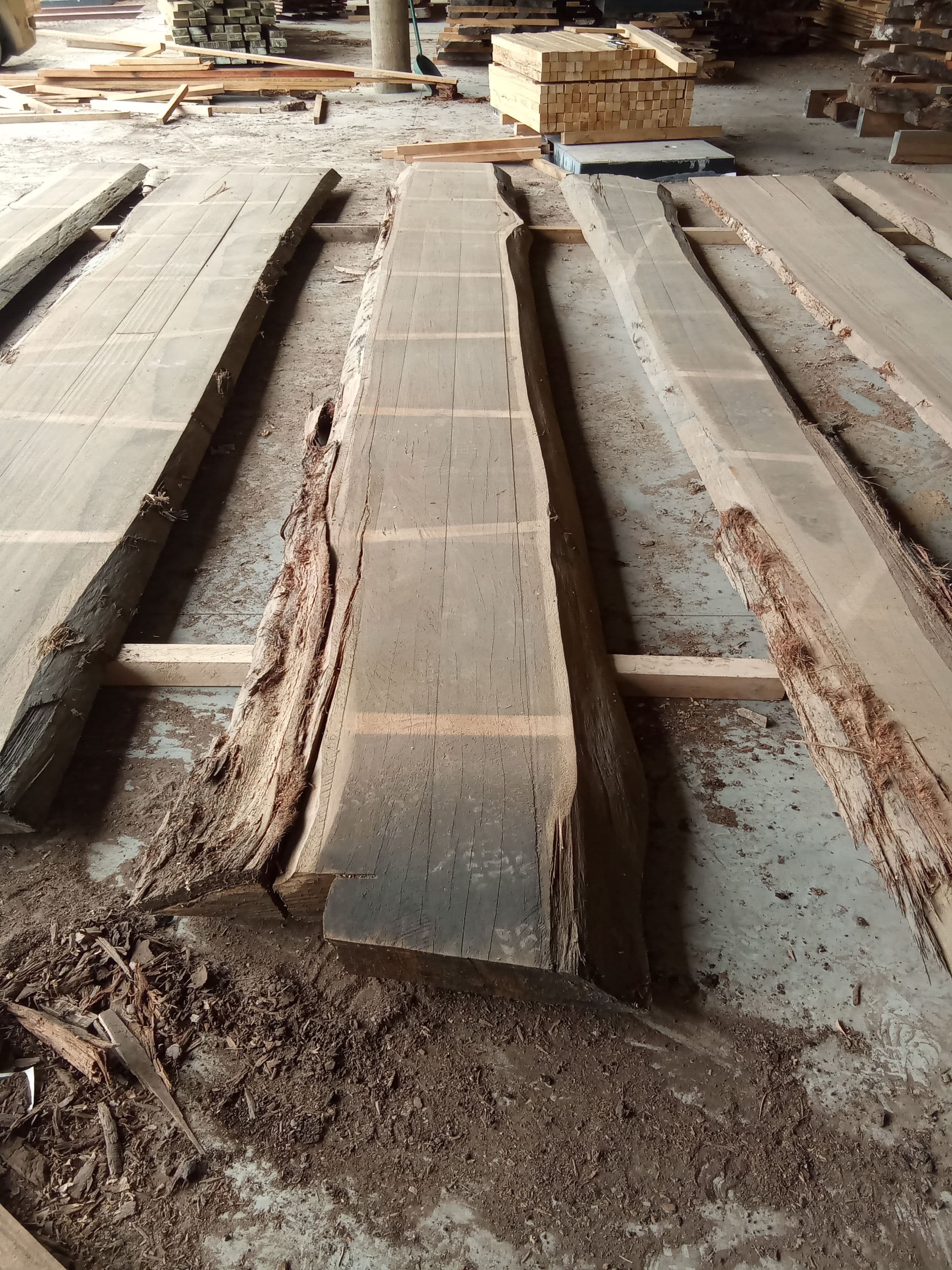 Blackbutt Eucalyptus Slab #9