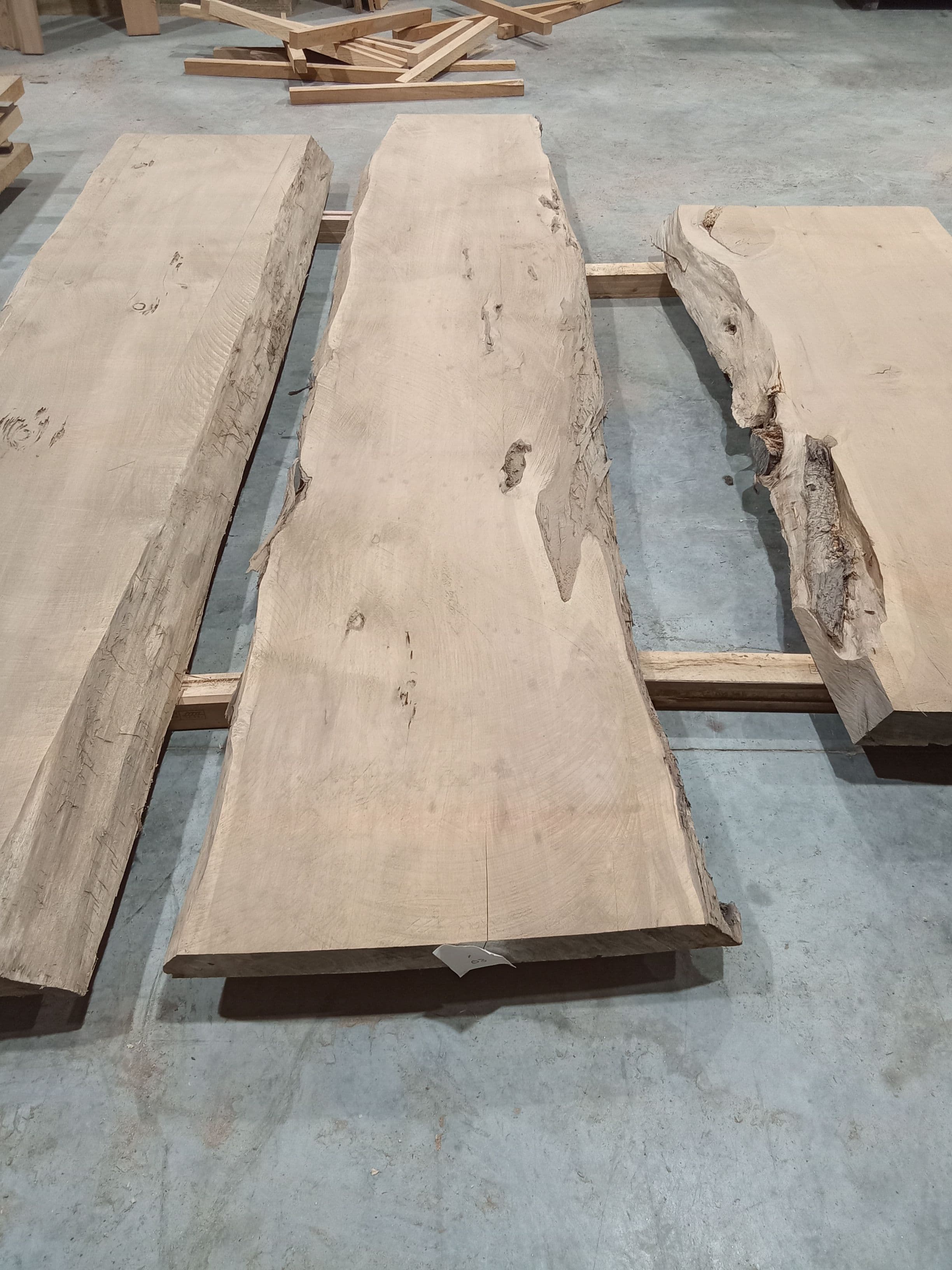 Macrocarpa Slab #37