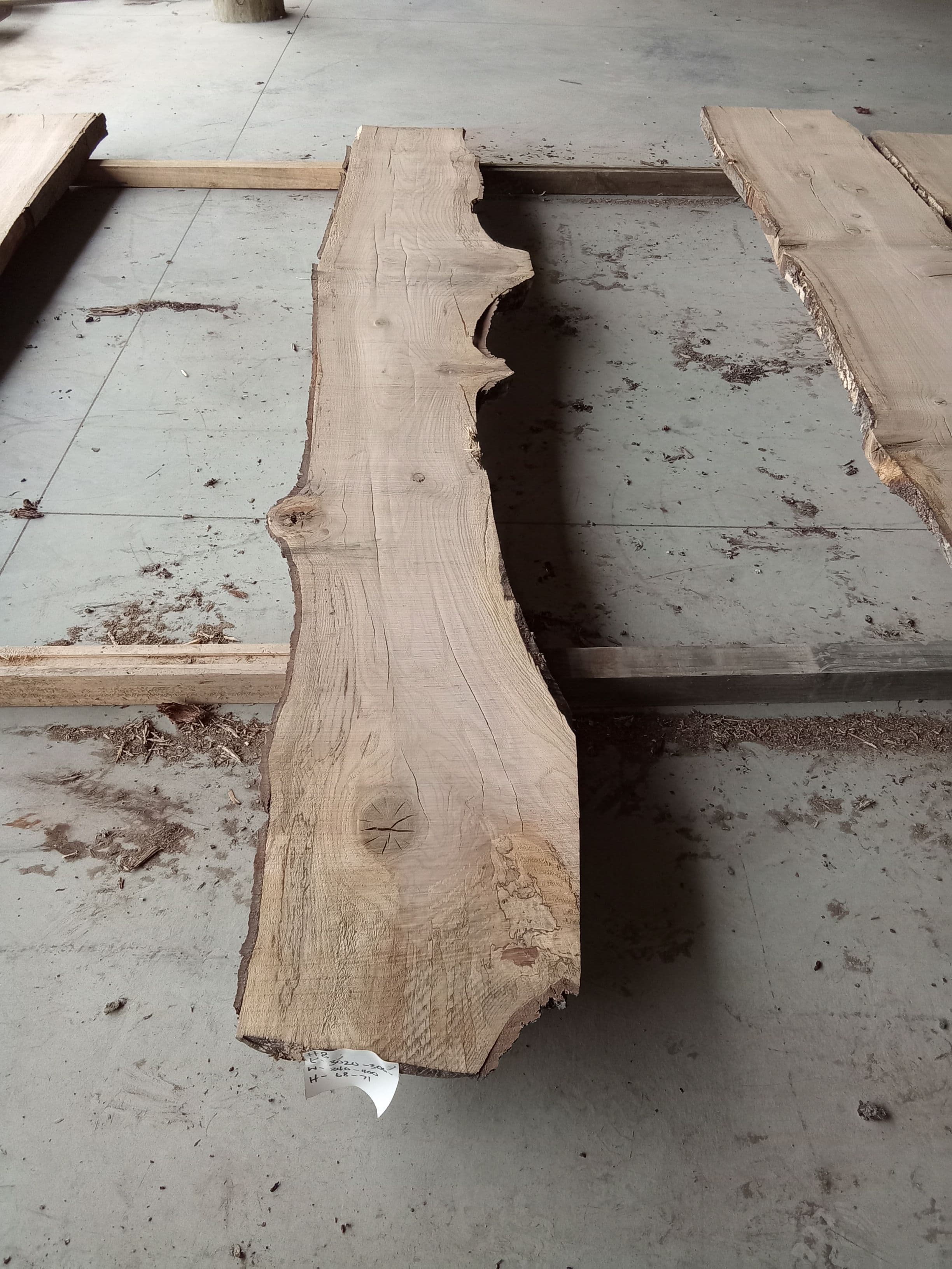 Oak Slab #21