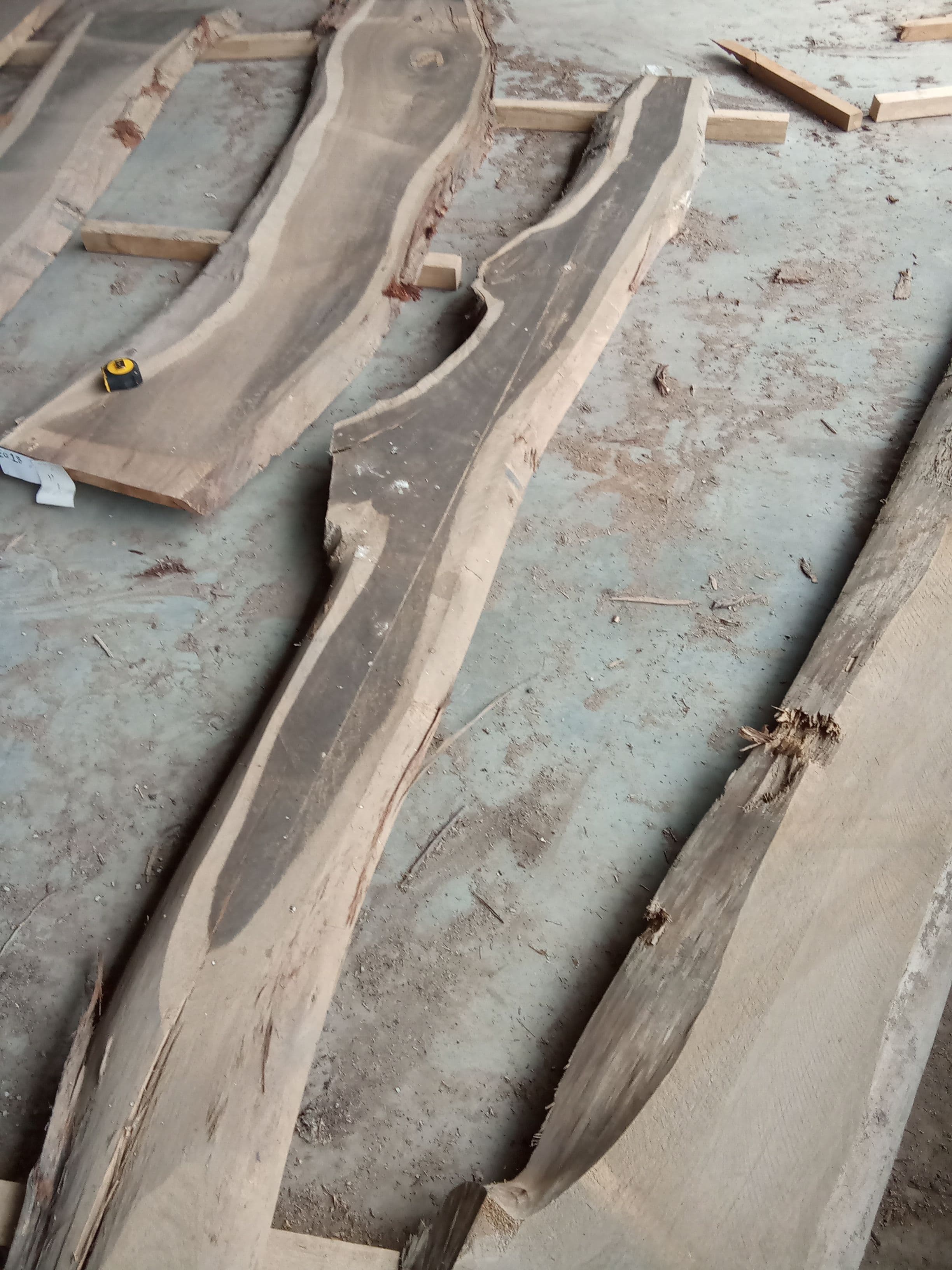 Blackbutt Eucalyptus Slab #19 view 1