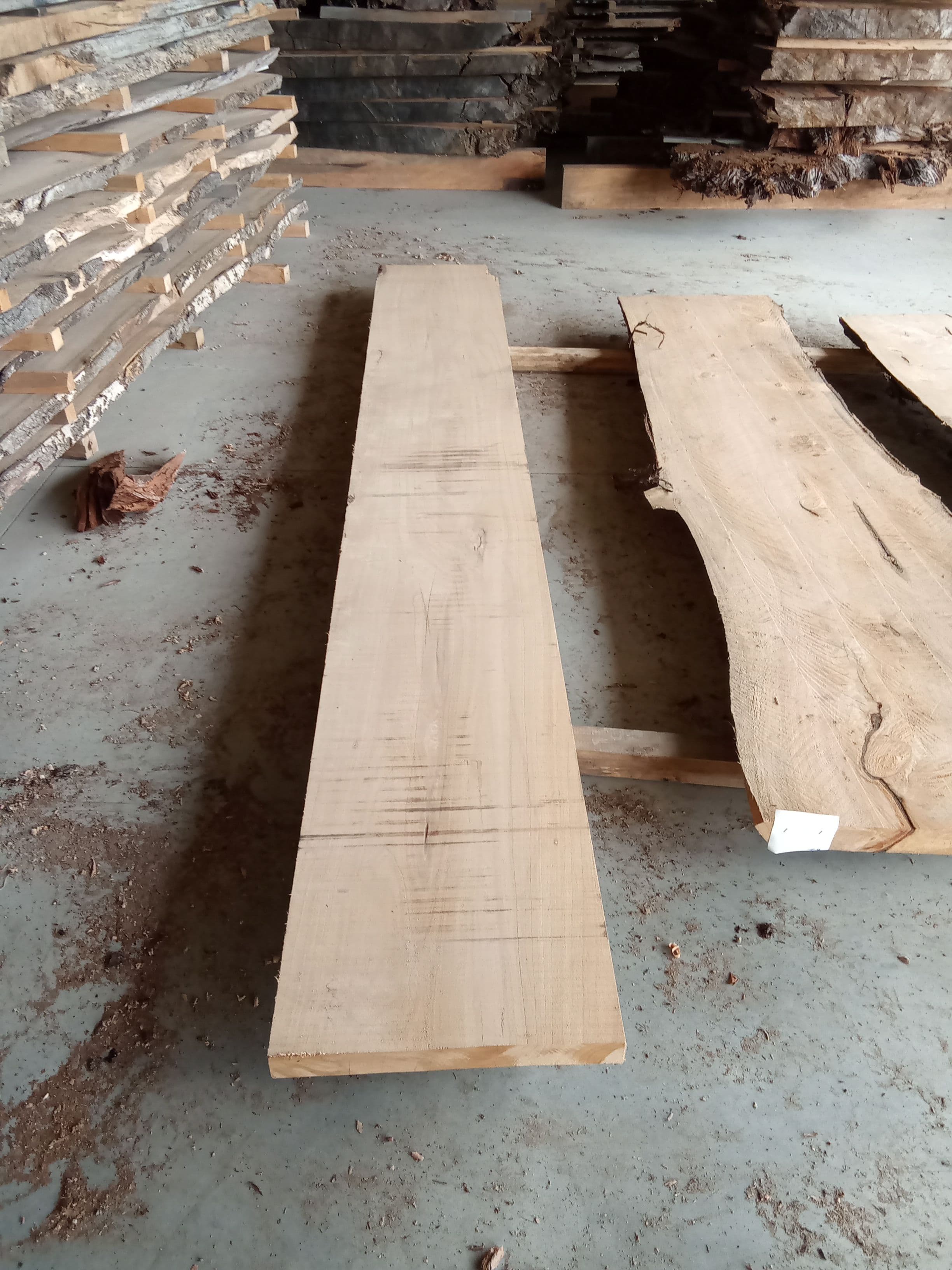 Macrocarpa Slab #20