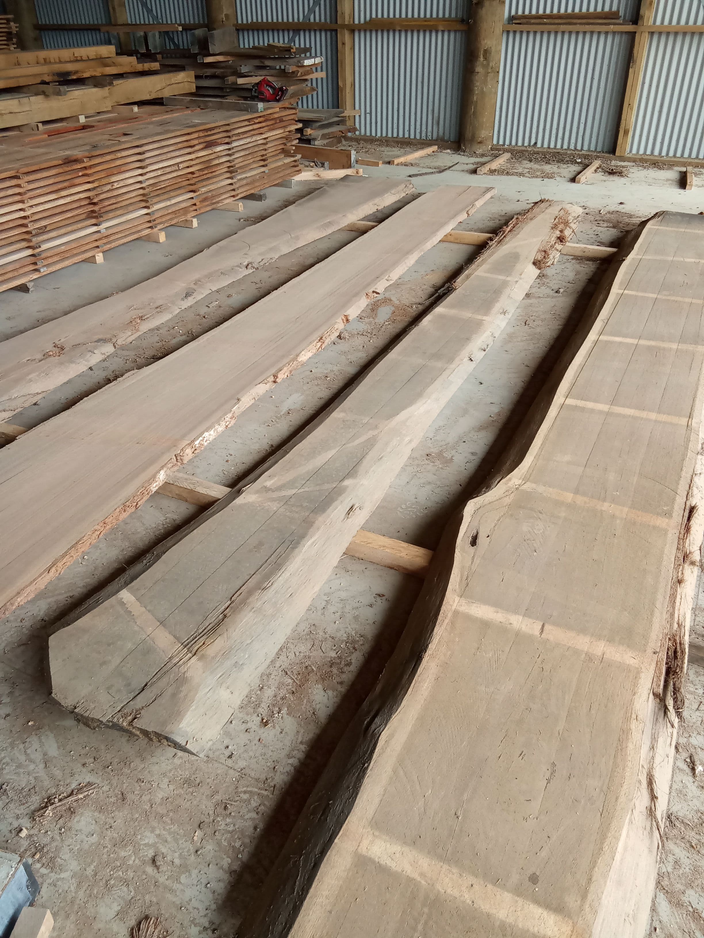Blackbutt Eucalyptus Slab #8 view 1