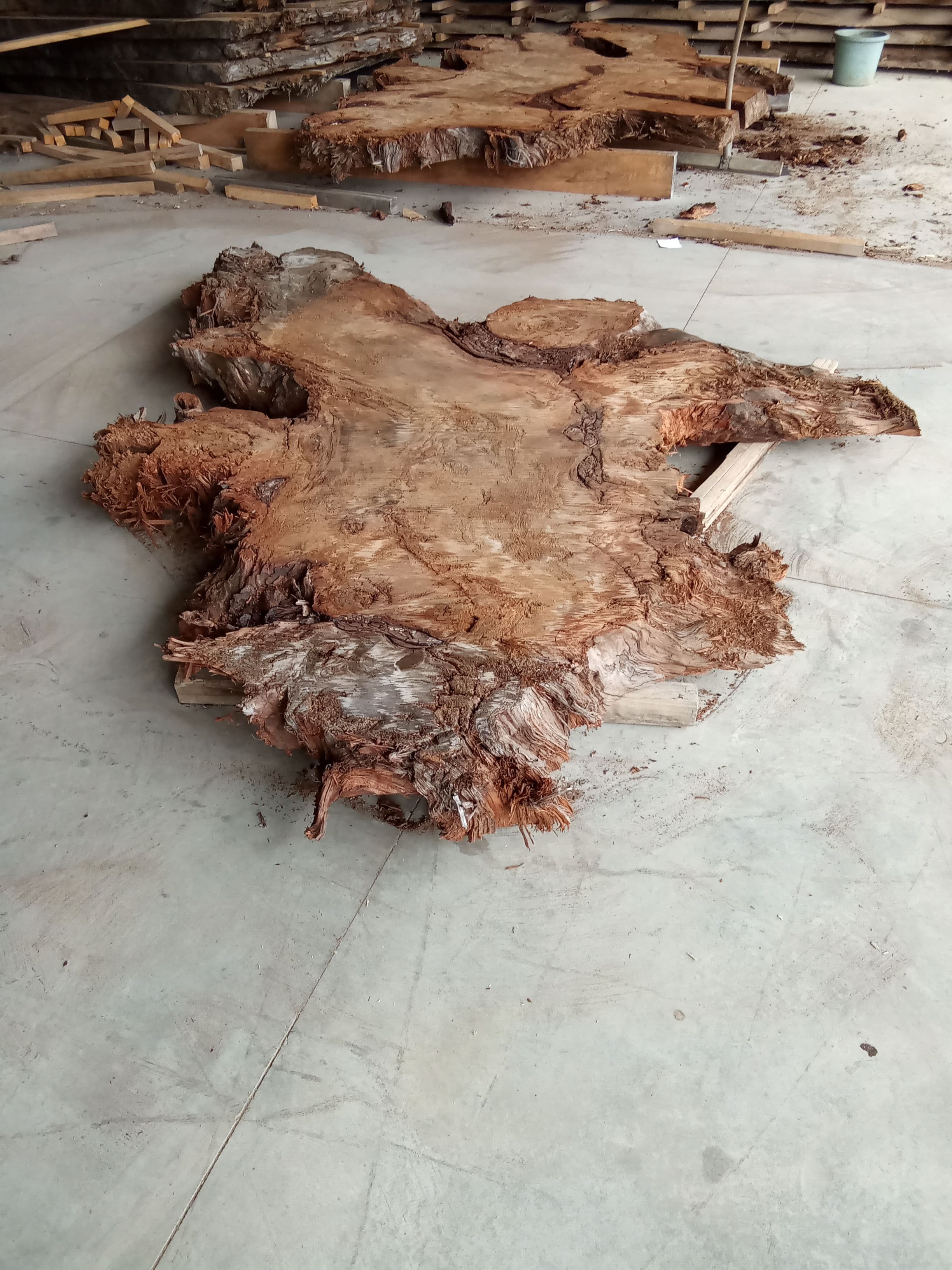 Kauri Slab #8