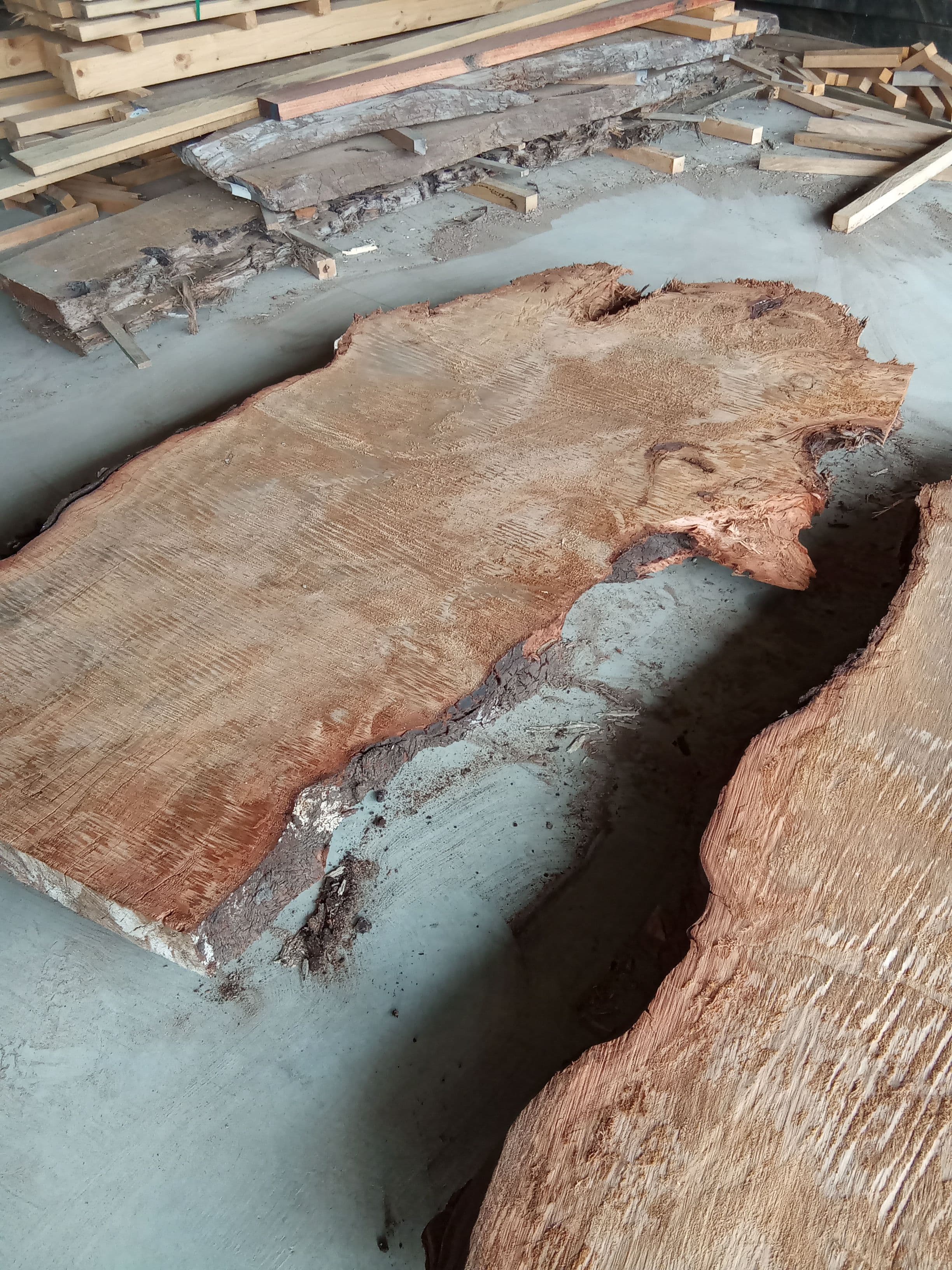 Kauri Slab #5 view 1