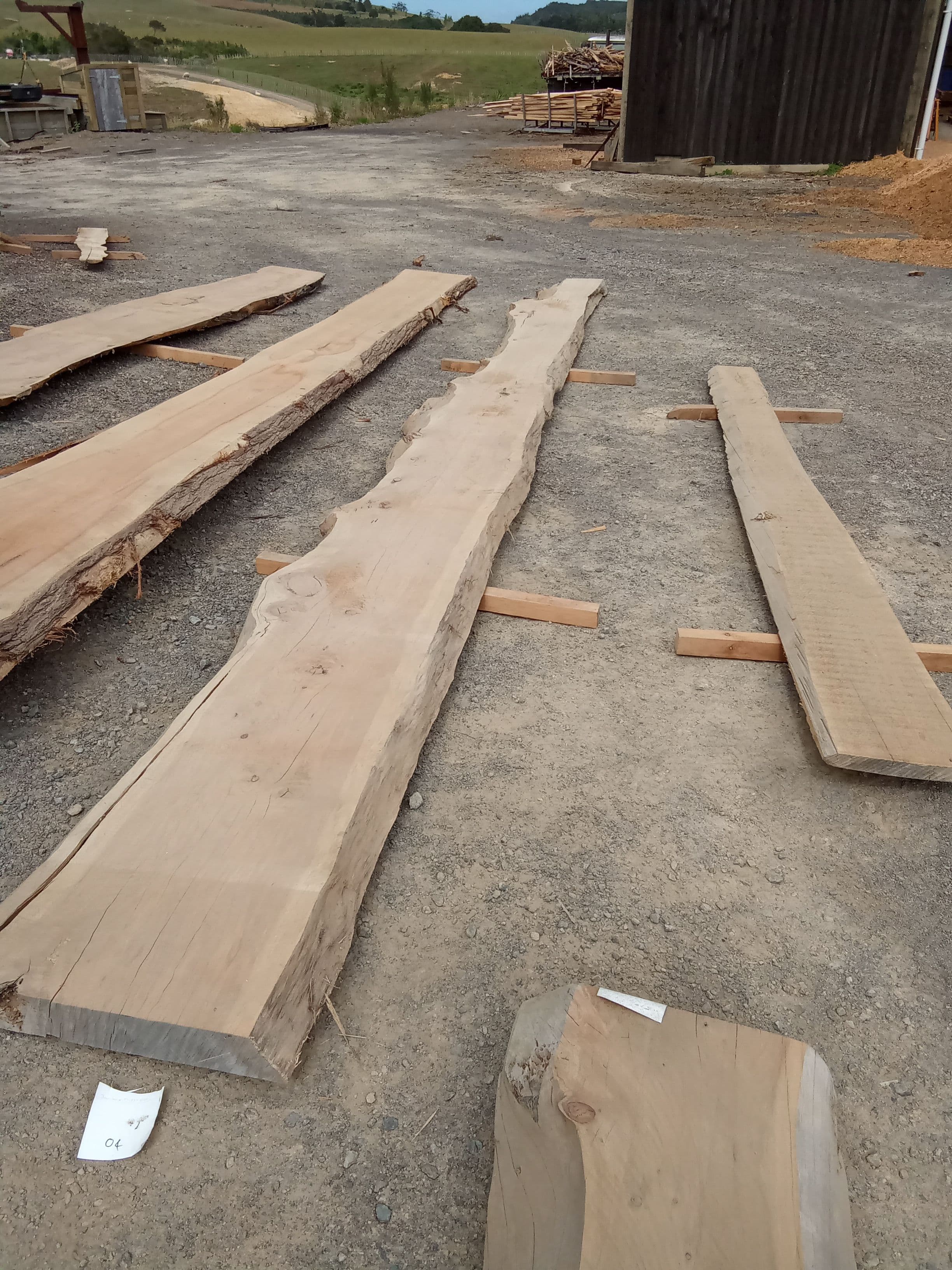 Macrocarpa Slab #7 view 1