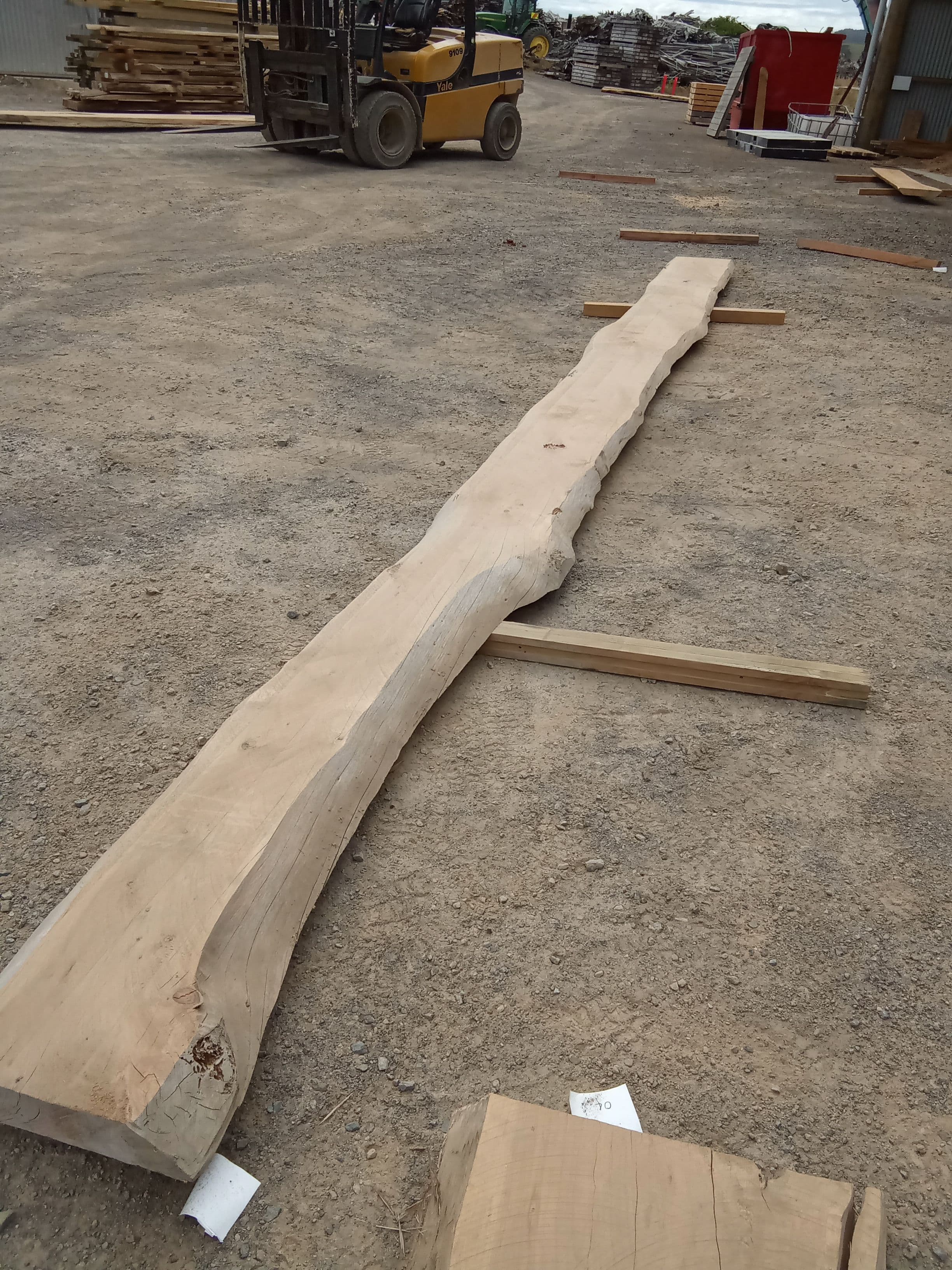 Macrocarpa Slab #8 view 1