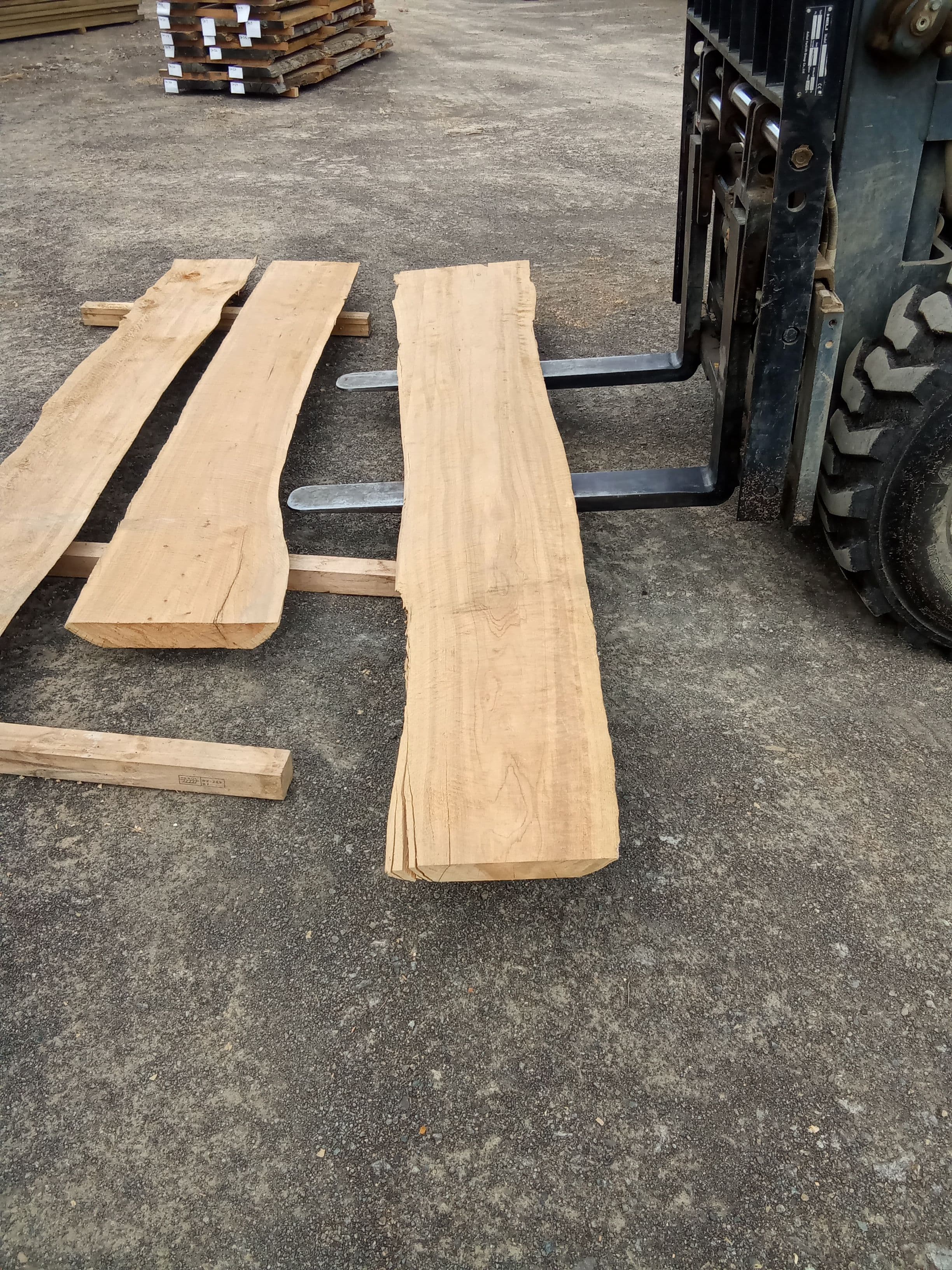 Macrocarpa Slab #40 view 2