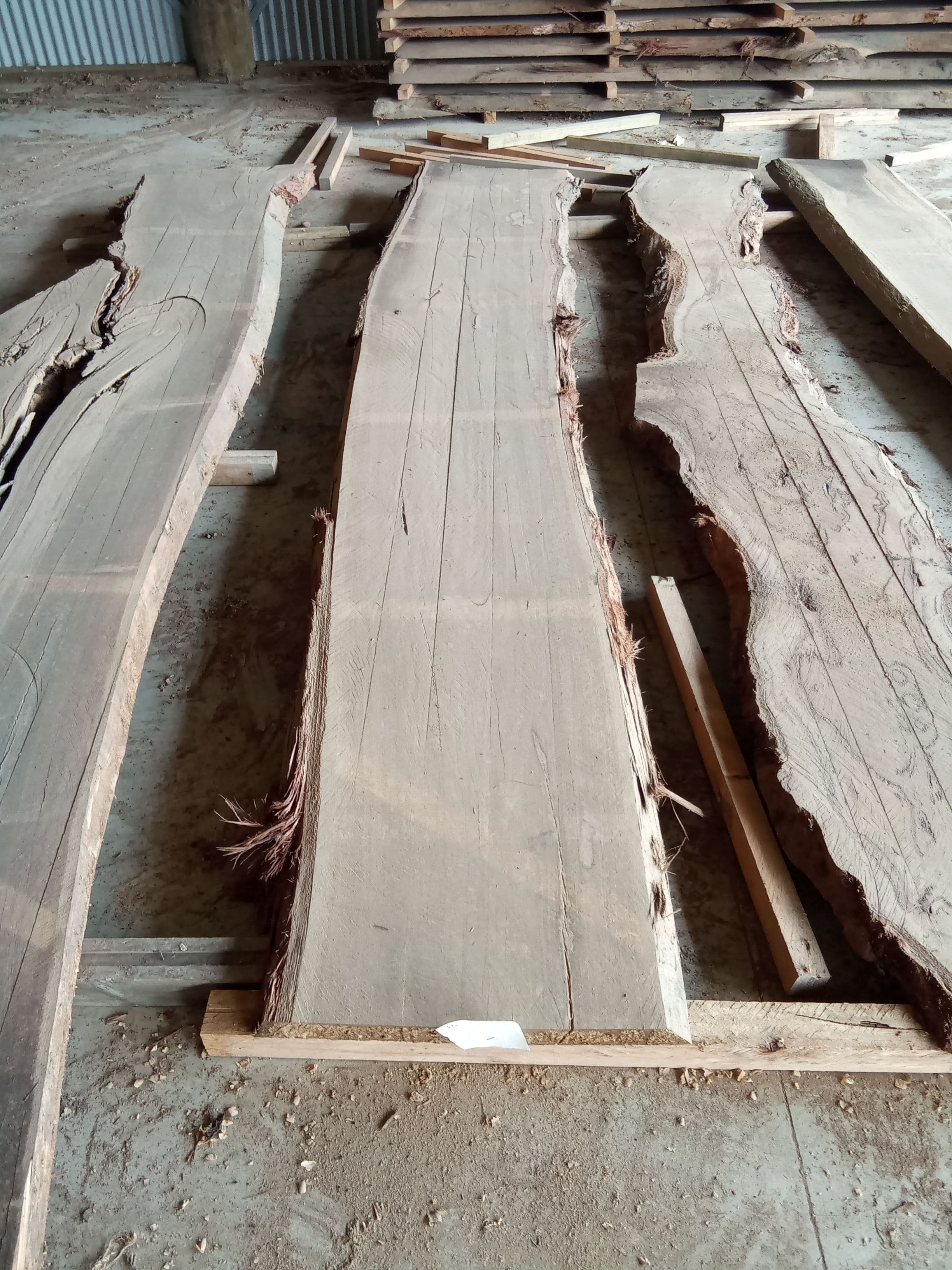 Blackbutt Eucalyptus Slab #22