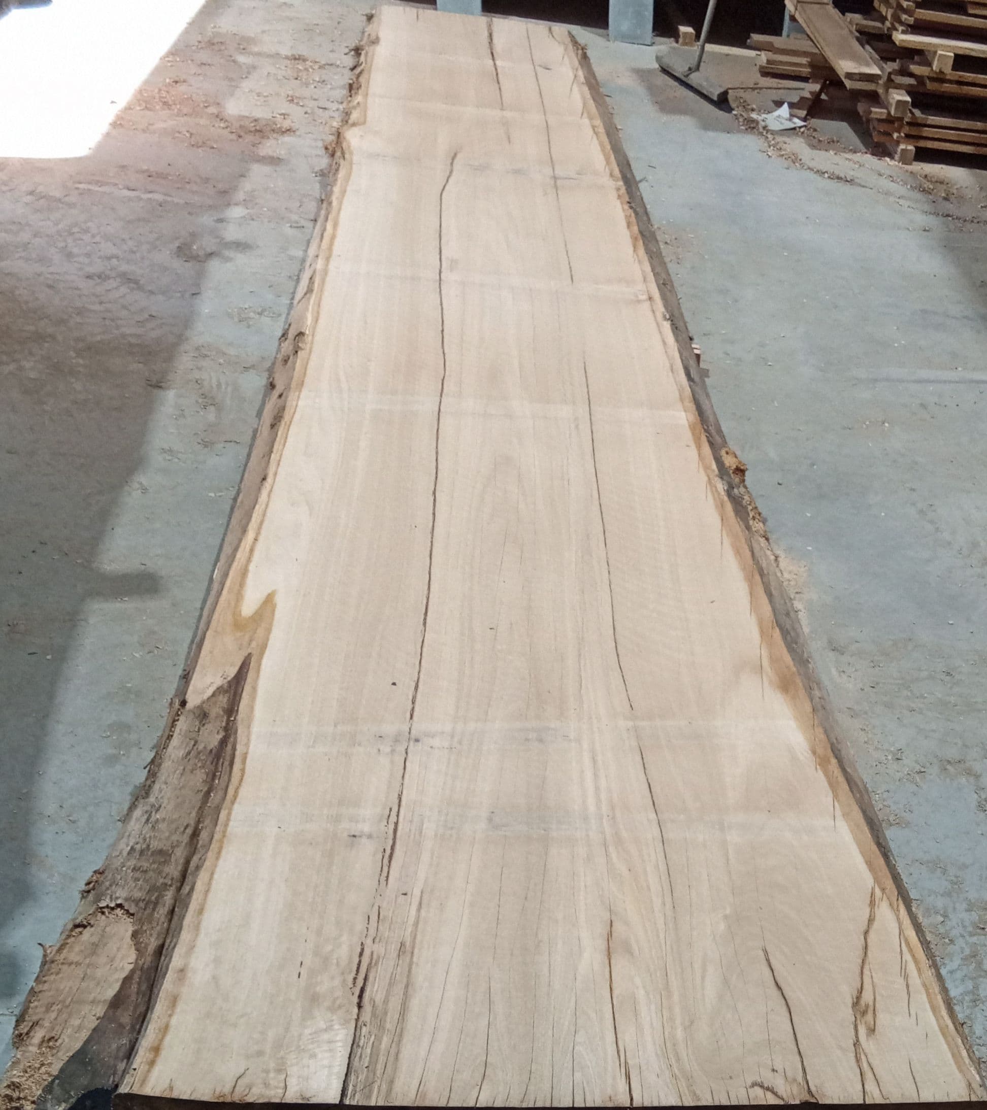 Blackbutt Eucalyptus Slab #1