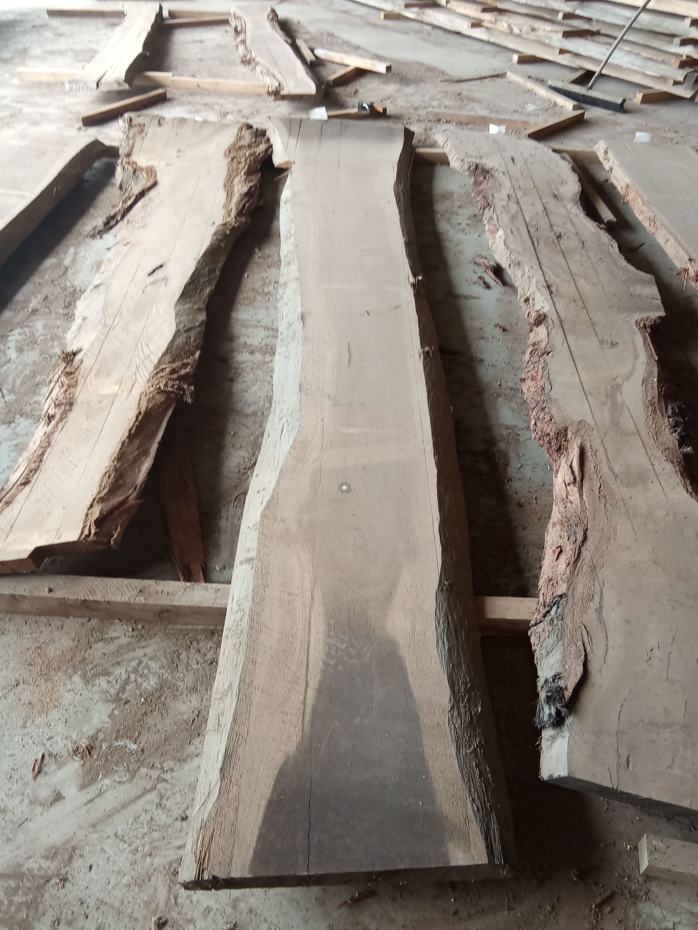 Blackbutt Eucalyptus Slab #24 view 2